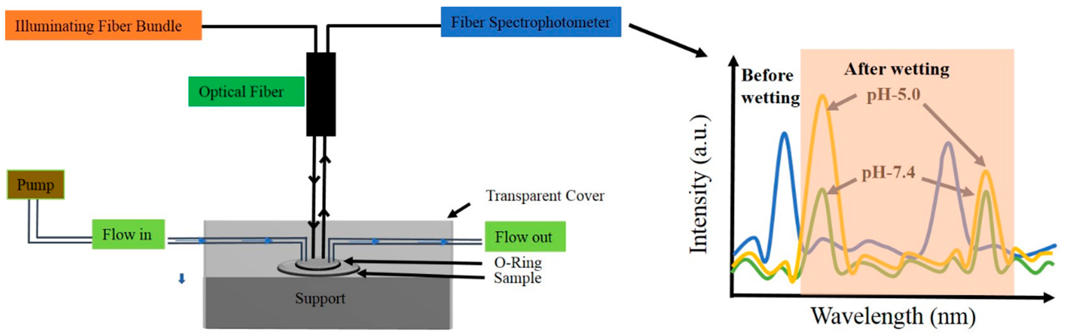 Nanomaterials 11 00730 g004 Nanomaterials 11 00730 g004