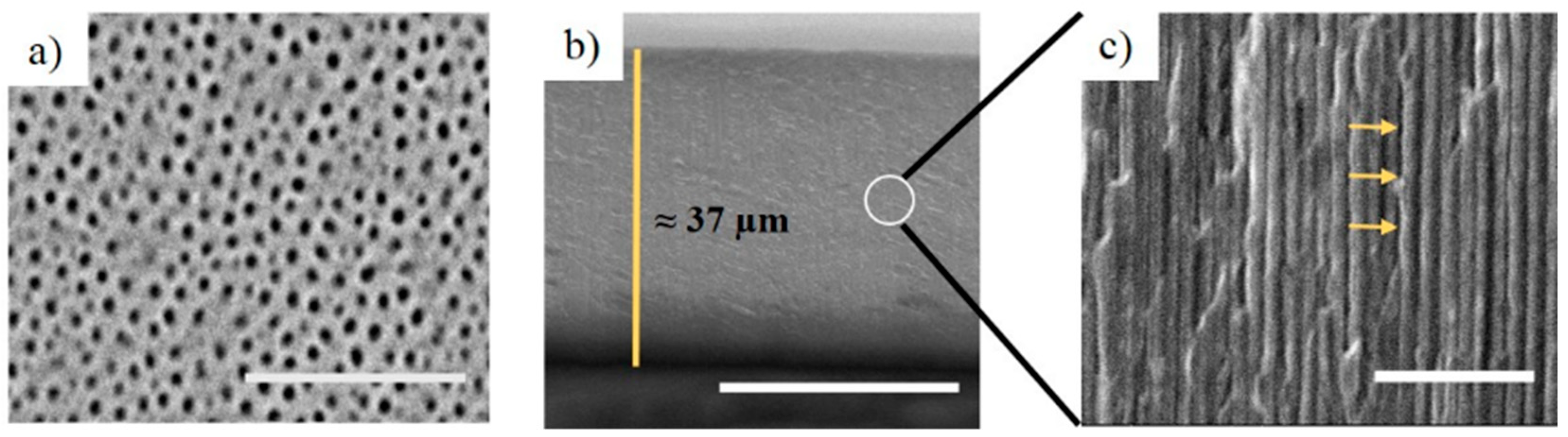 Nanomaterials 11 00730 g006 Nanomaterials 11 00730 g006