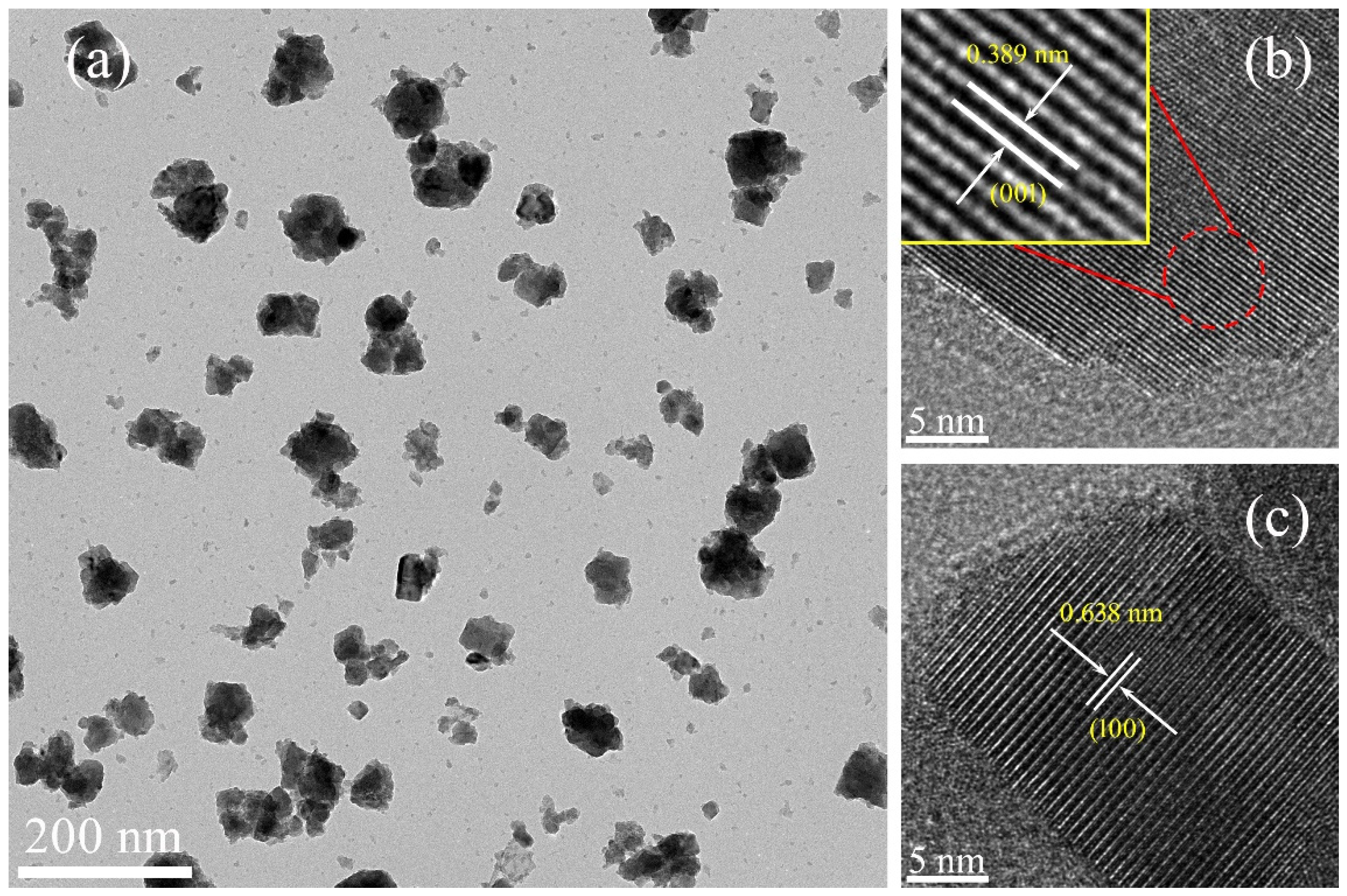 Nanomaterials 11 00731 g004