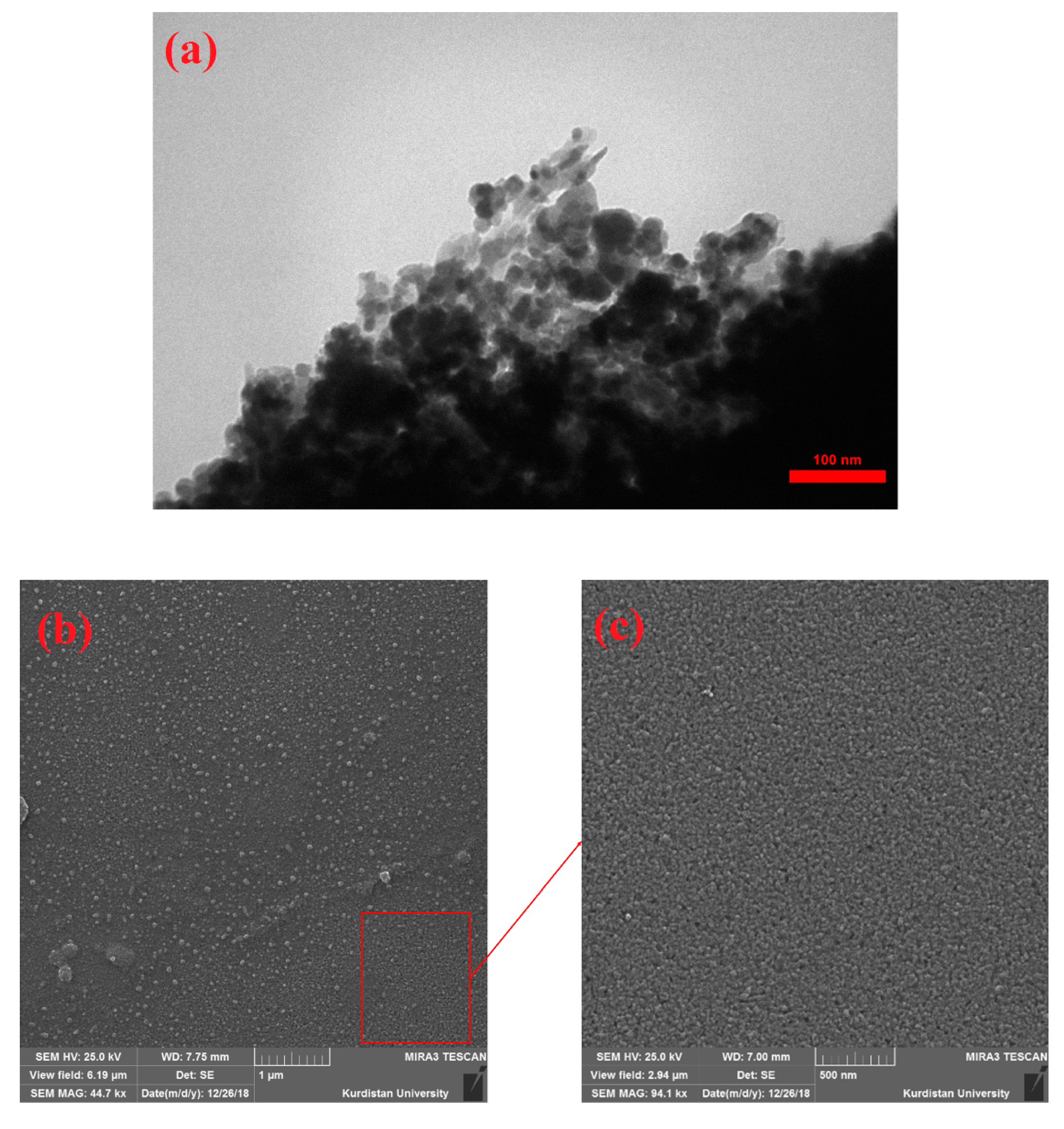 Nanomaterials 11 00737 g003