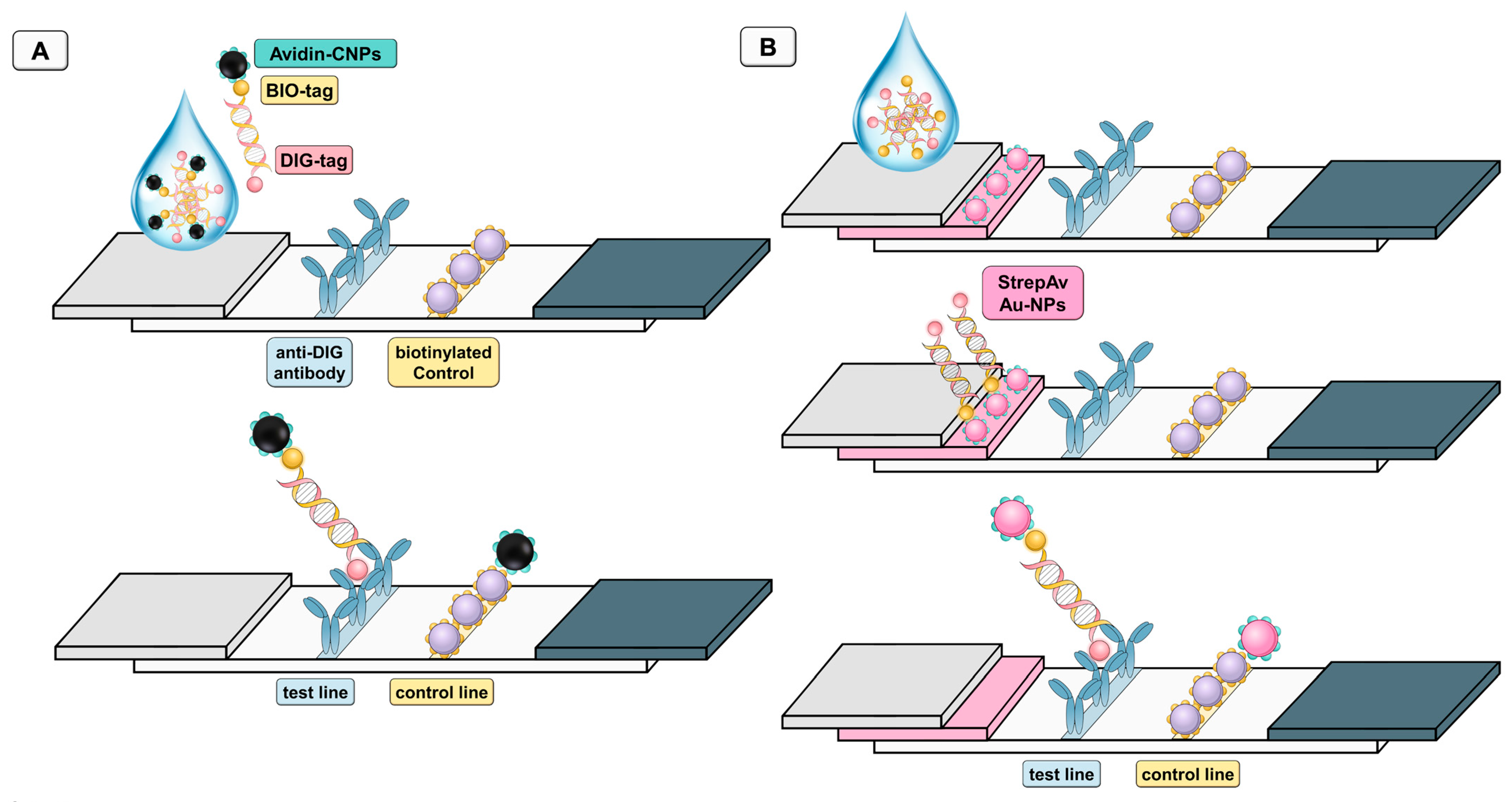 Nanomaterials 11 00741 g002 Nanomaterials 11 00741 g002
