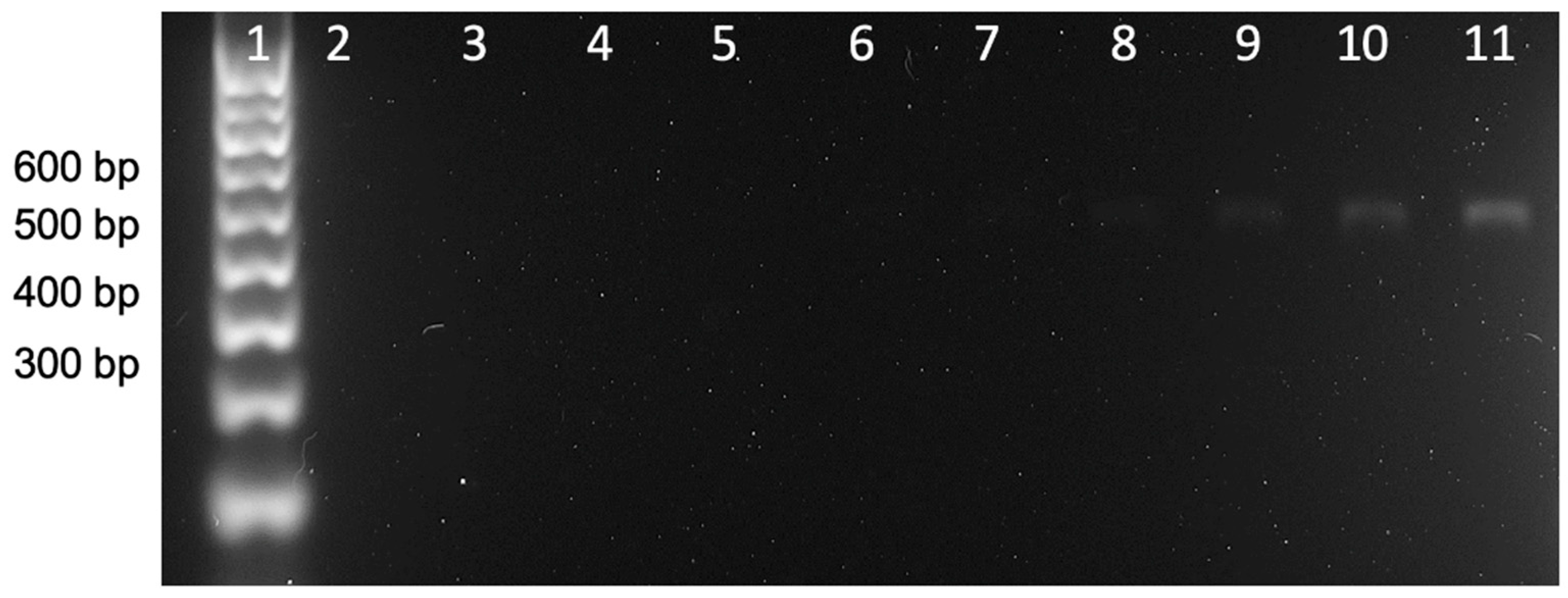Nanomaterials 11 00741 g004 Nanomaterials 11 00741 g004