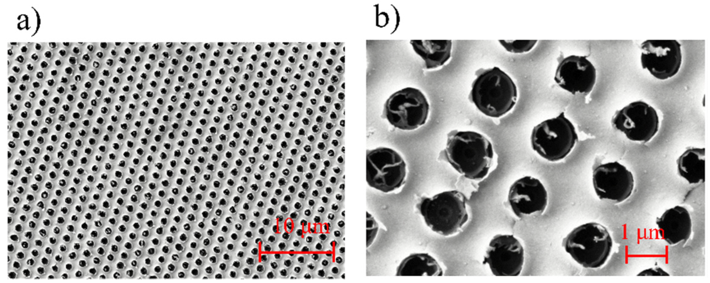Nanomaterials 11 00742 g012 Nanomaterials 11 00742 g012