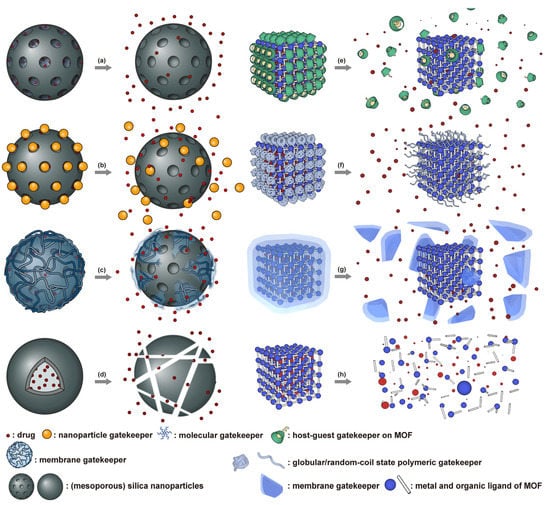 Nanomaterials | Free Full-Text | Nanoplatforms for Targeted 