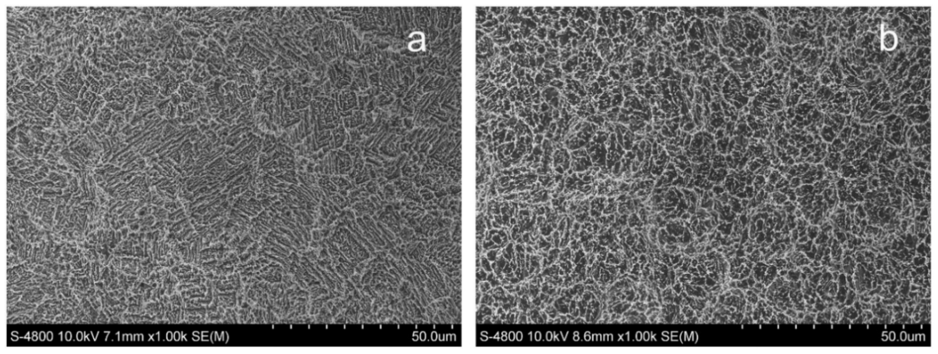 Nanomaterials 11 00748 g011 Nanomaterials 11 00748 g011