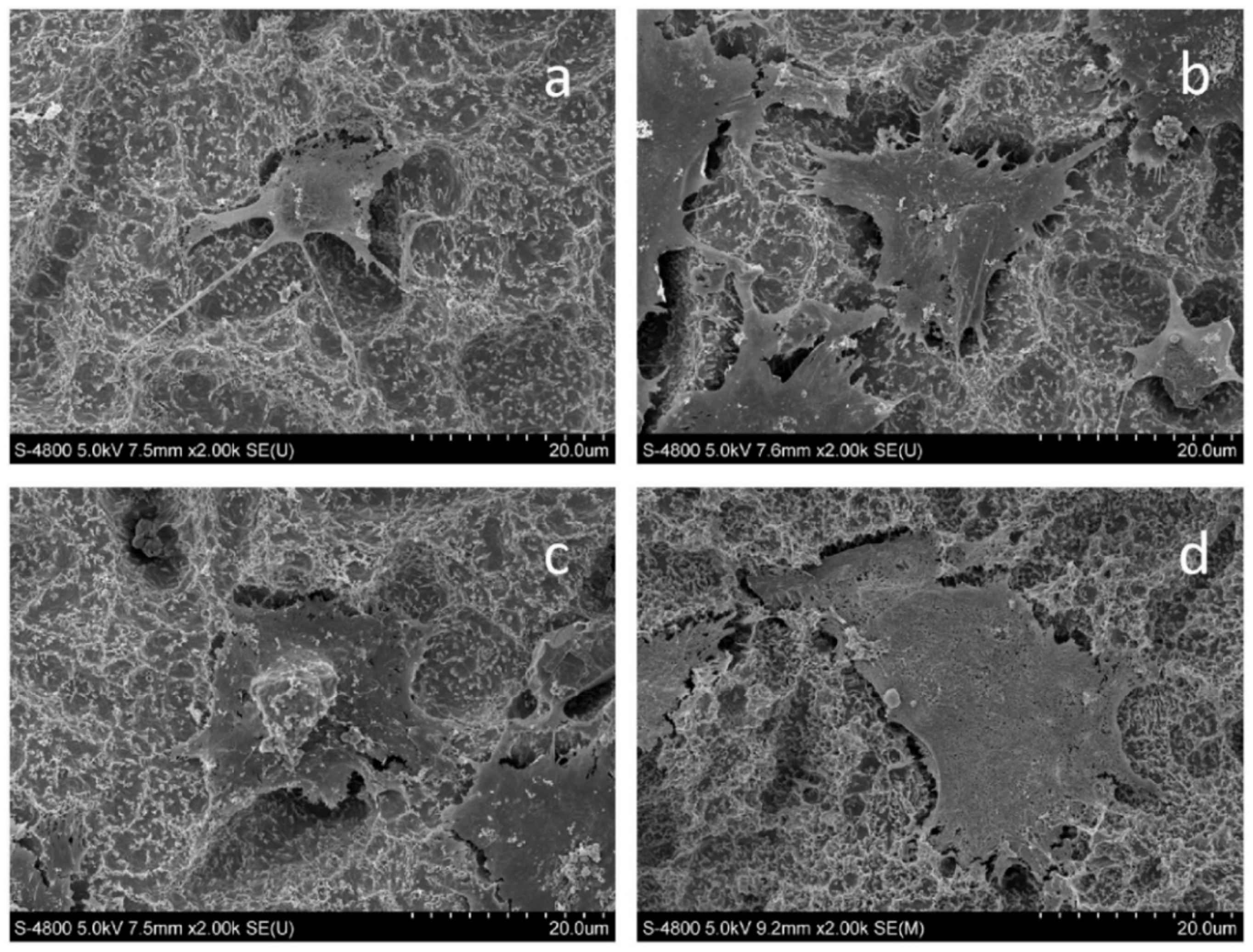 Nanomaterials 11 00748 g012 Nanomaterials 11 00748 g012