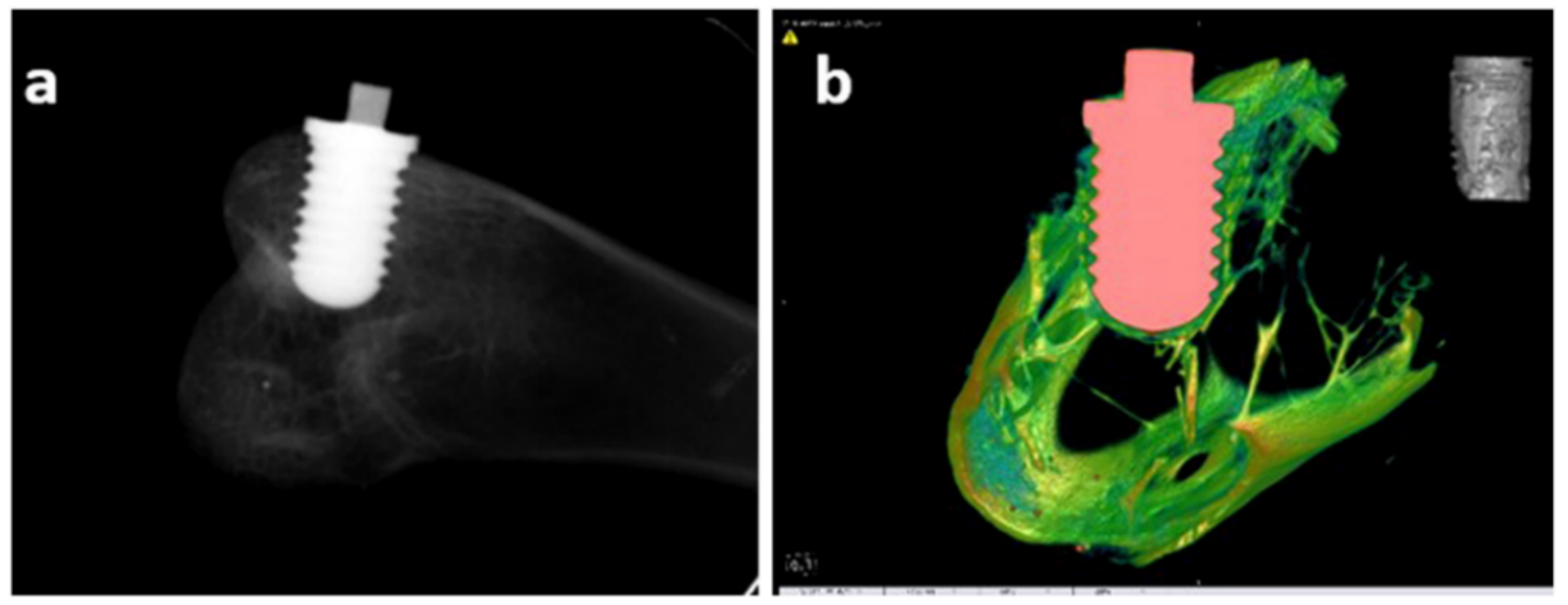 Nanomaterials 11 00748 g013 Nanomaterials 11 00748 g013