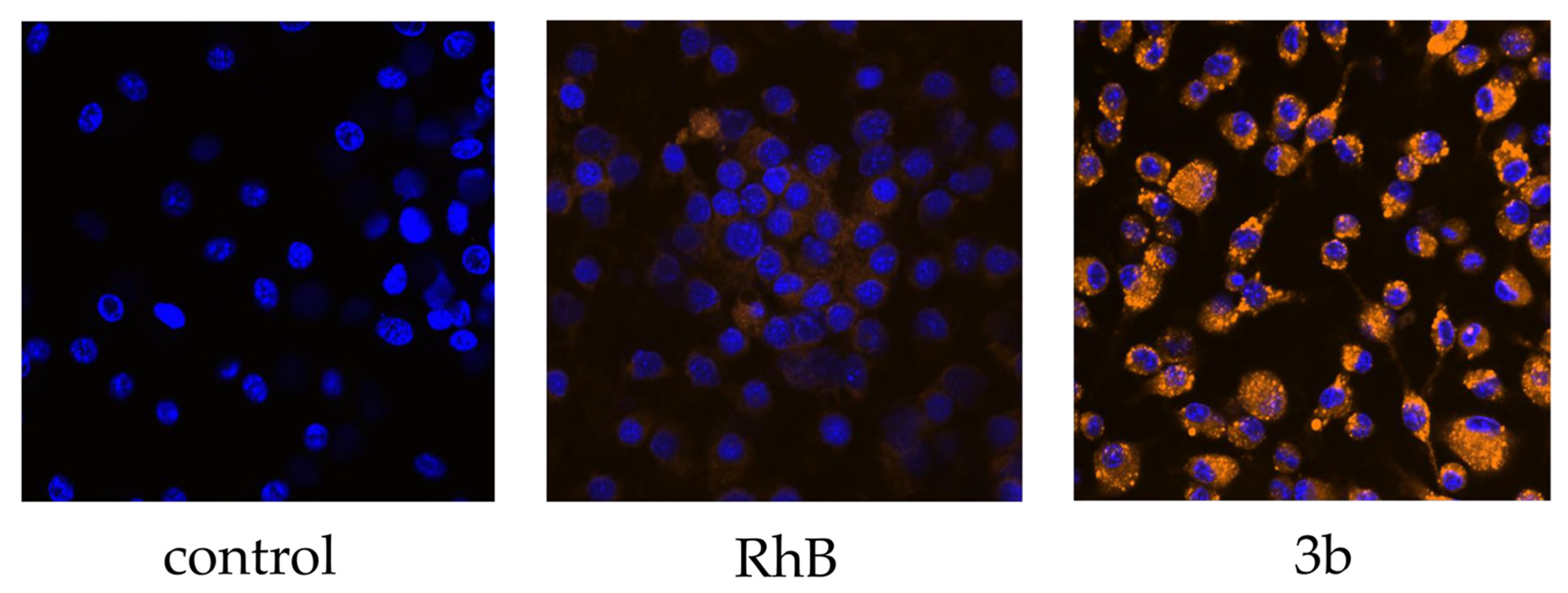 Nanomaterials 11 00749 g003 Nanomaterials 11 00749 g003