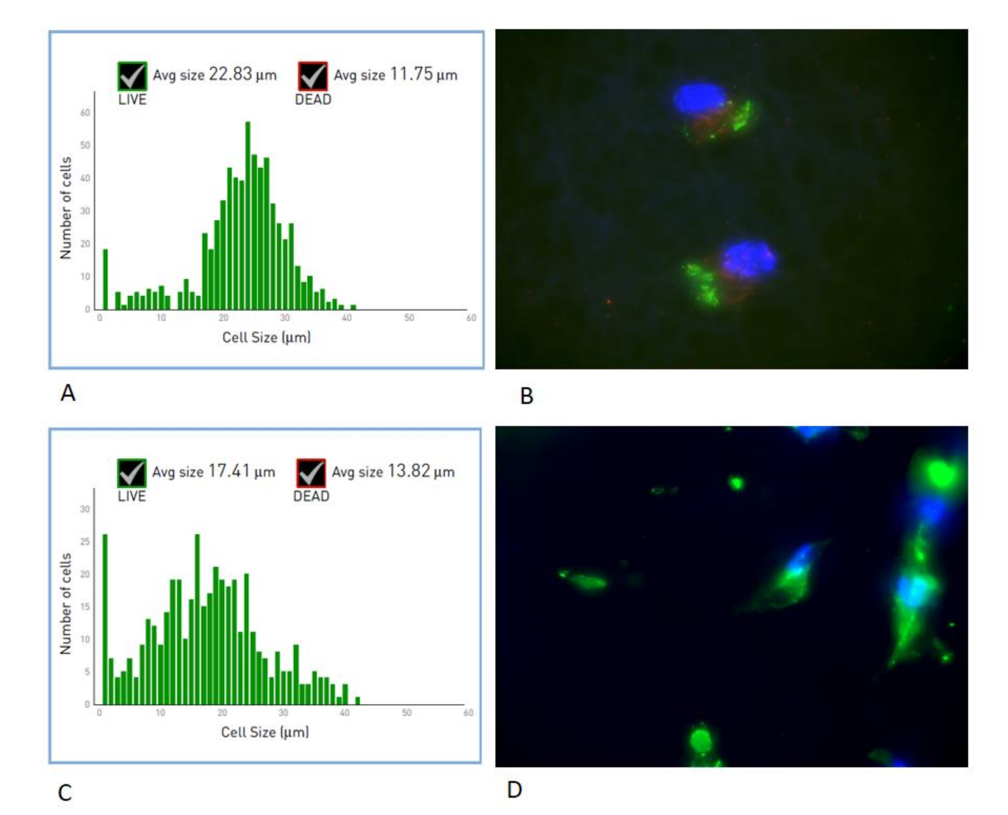 Nanomaterials 11 00751 g002