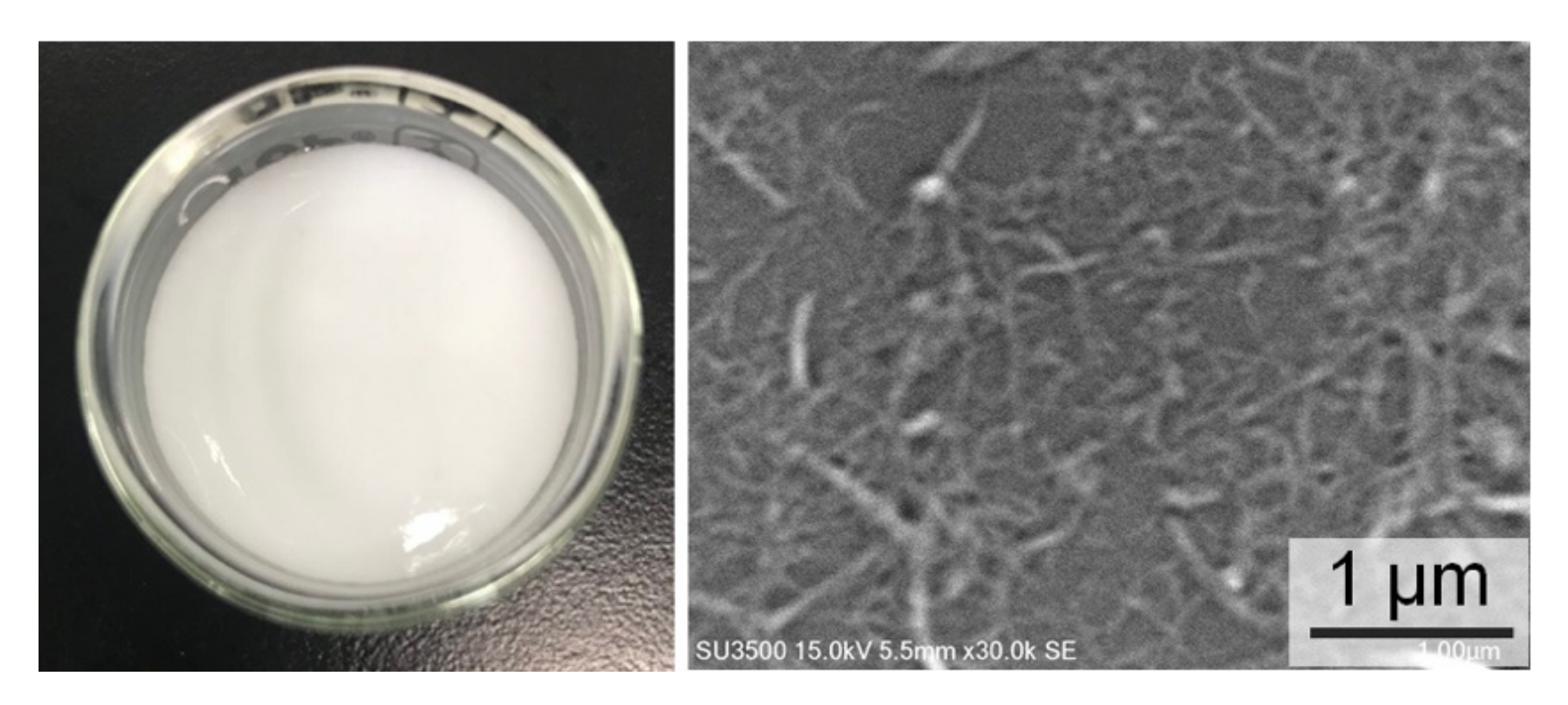 Nanomaterials 11 00753 g003 Nanomaterials 11 00753 g003