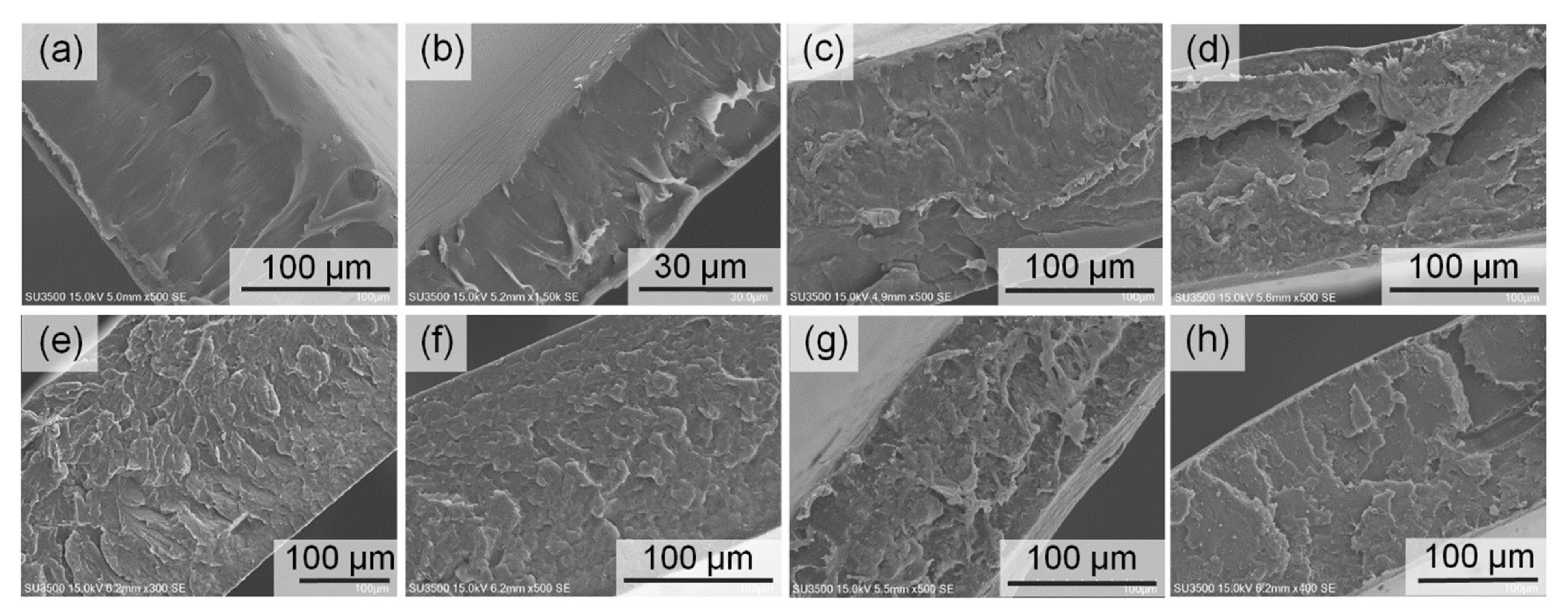Nanomaterials 11 00753 g008 Nanomaterials 11 00753 g008