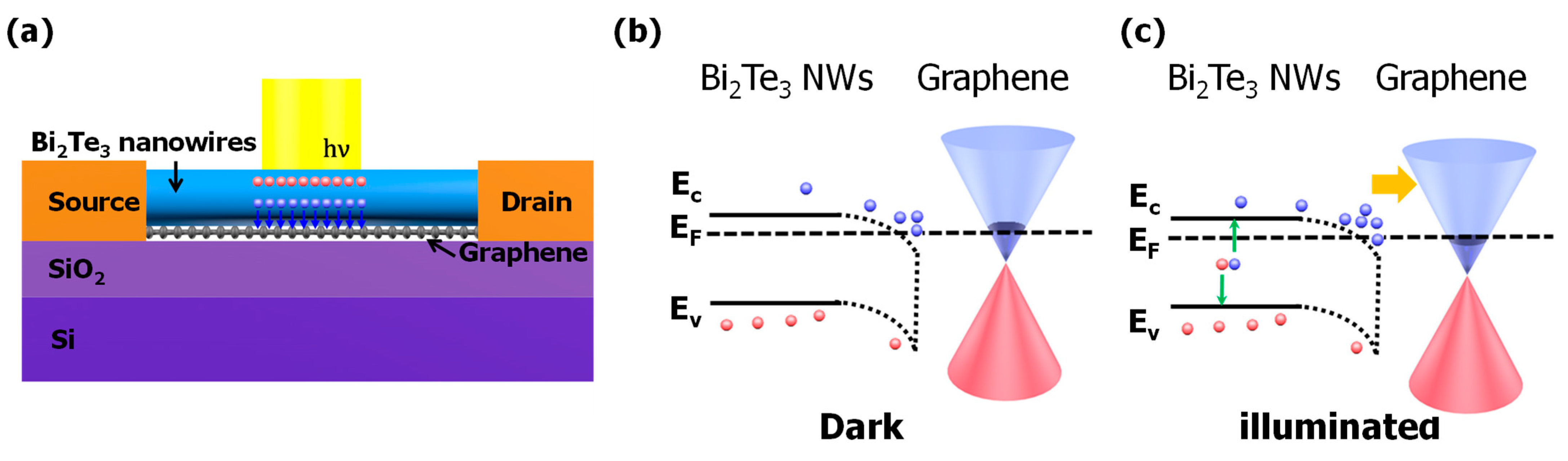 Nanomaterials 11 00755 g004 Nanomaterials 11 00755 g004