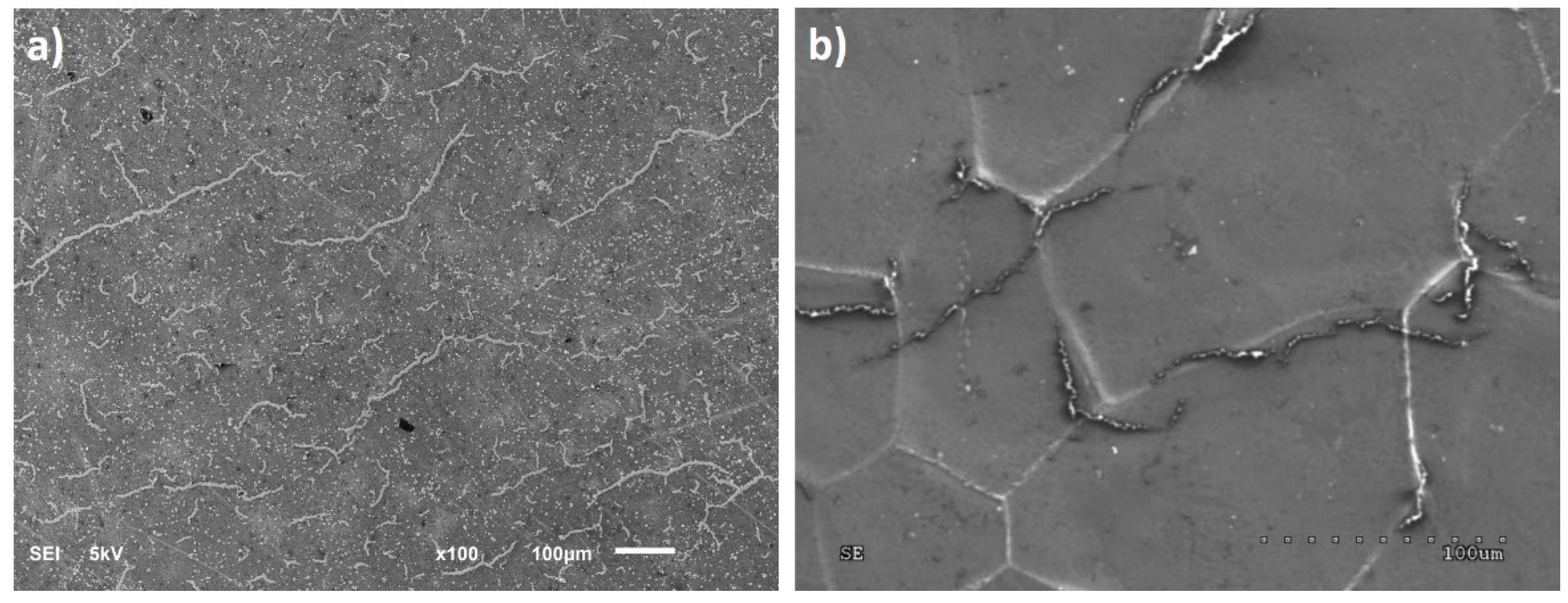 Nanomaterials 11 00756 g001