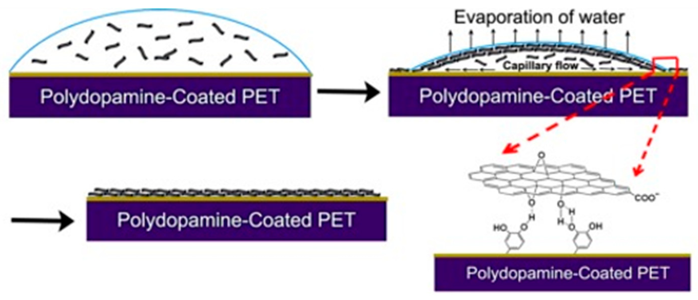 Nanomaterials 11 00757 g006