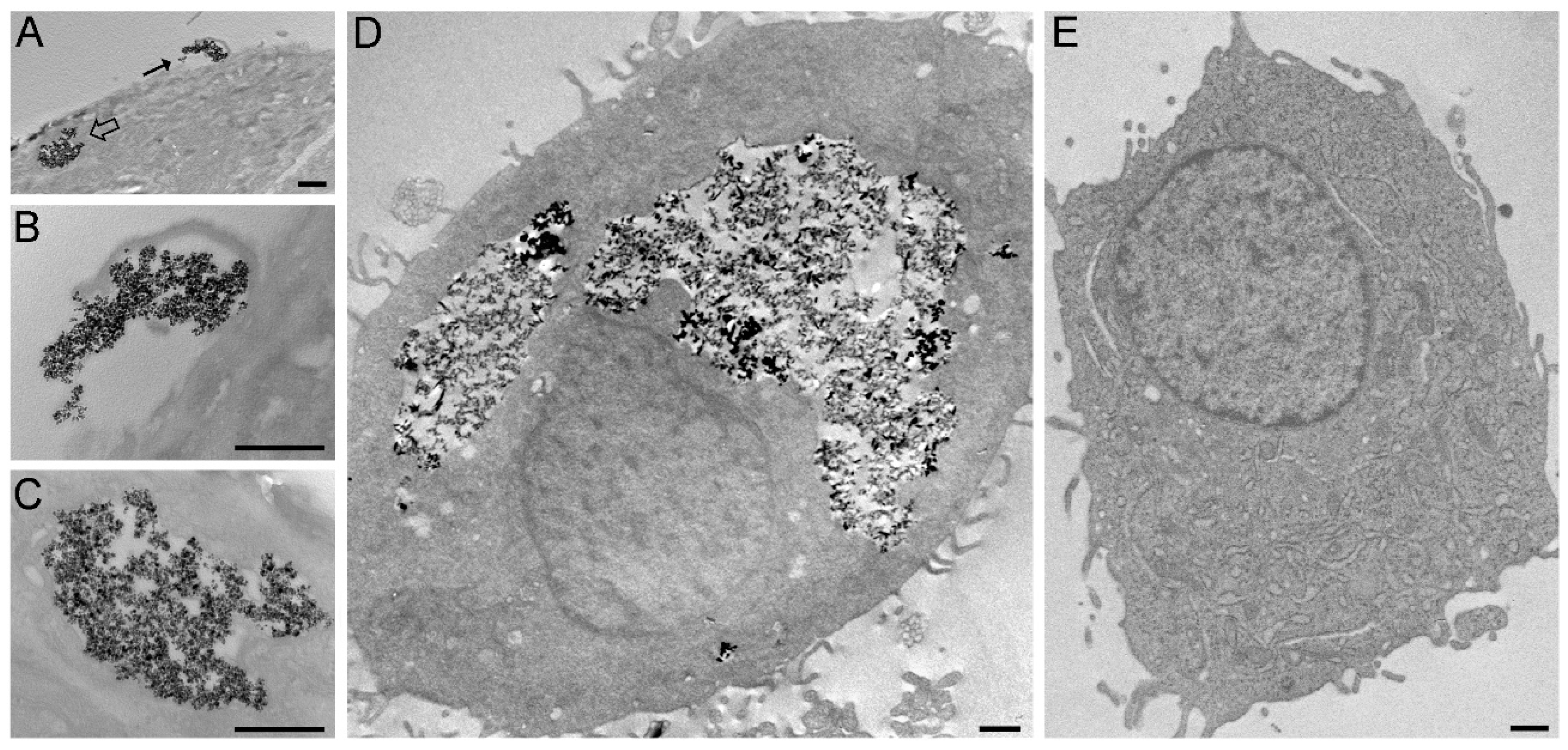 Nanomaterials 11 00766 g003 Nanomaterials 11 00766 g003