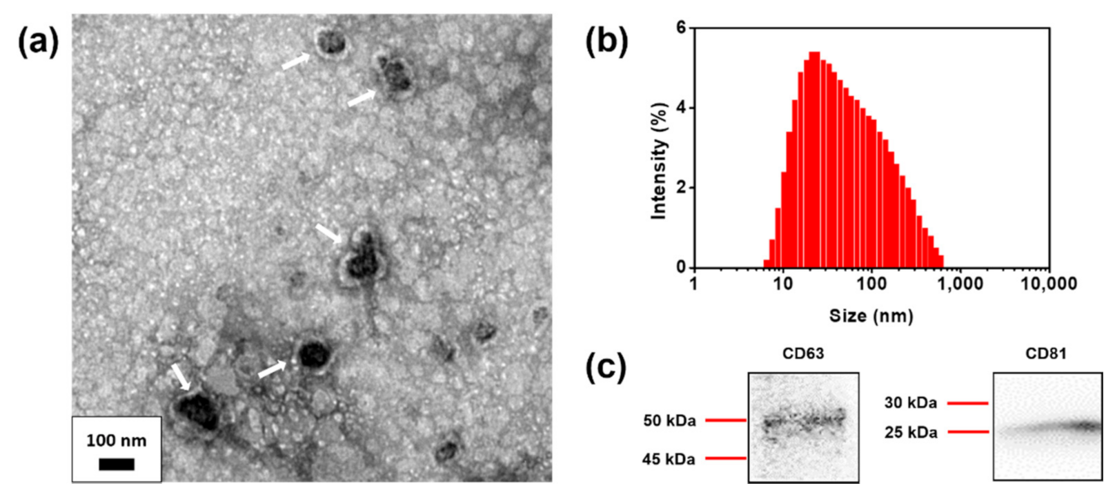 Nanomaterials 11 00768 g002 Nanomaterials 11 00768 g002