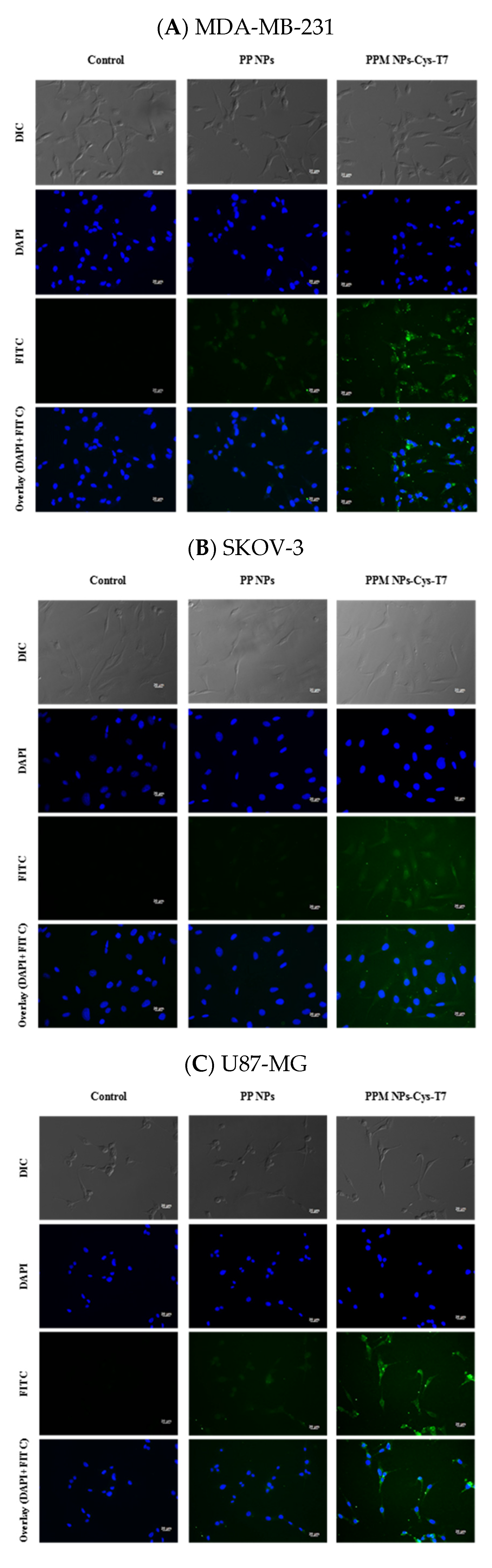 Nanomaterials 11 00772 g006a Nanomaterials 11 00772 g006a
