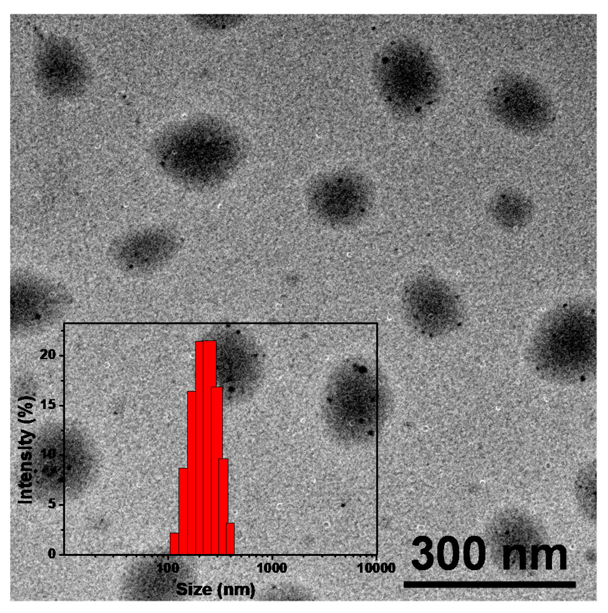 Nanomaterials 11 00773 g003