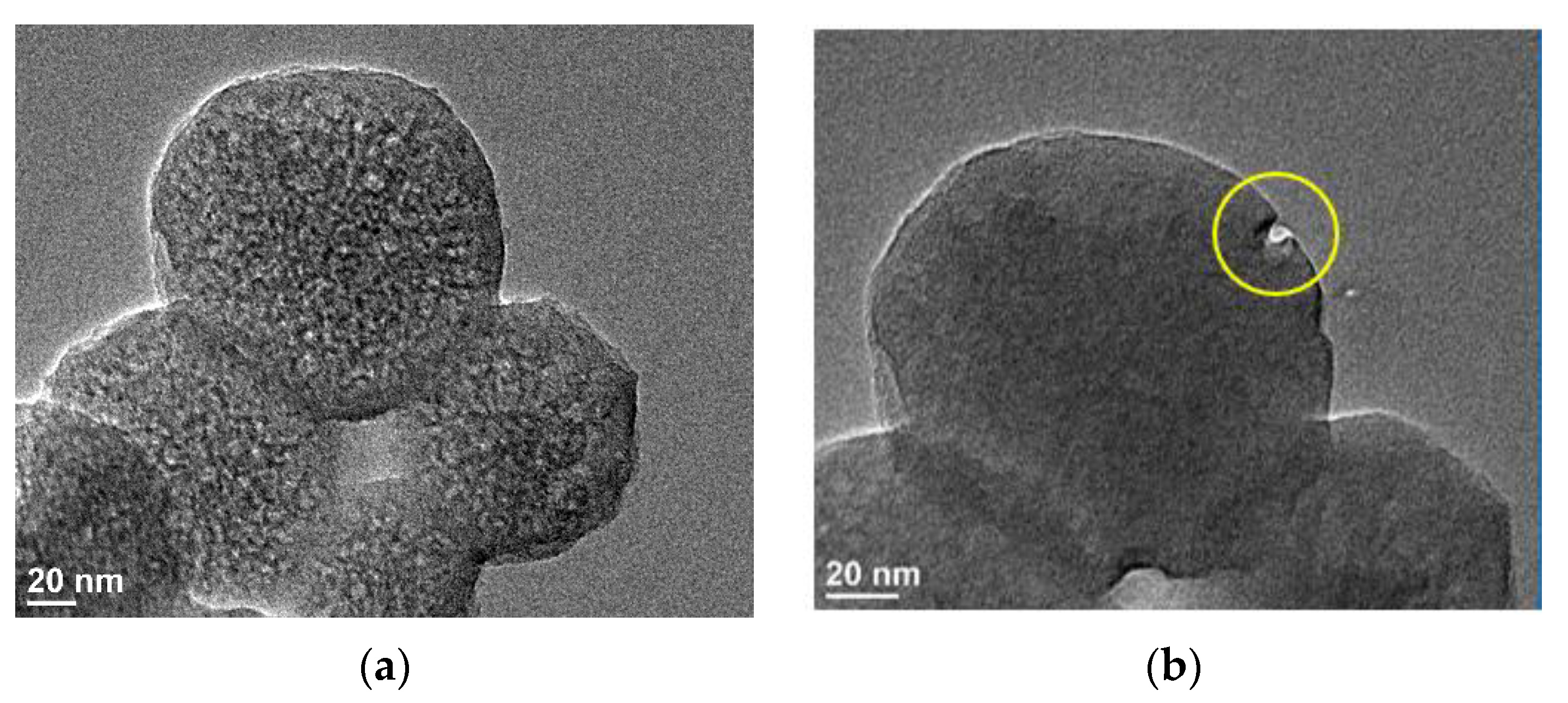 Nanomaterials 11 00774 g002 Nanomaterials 11 00774 g002