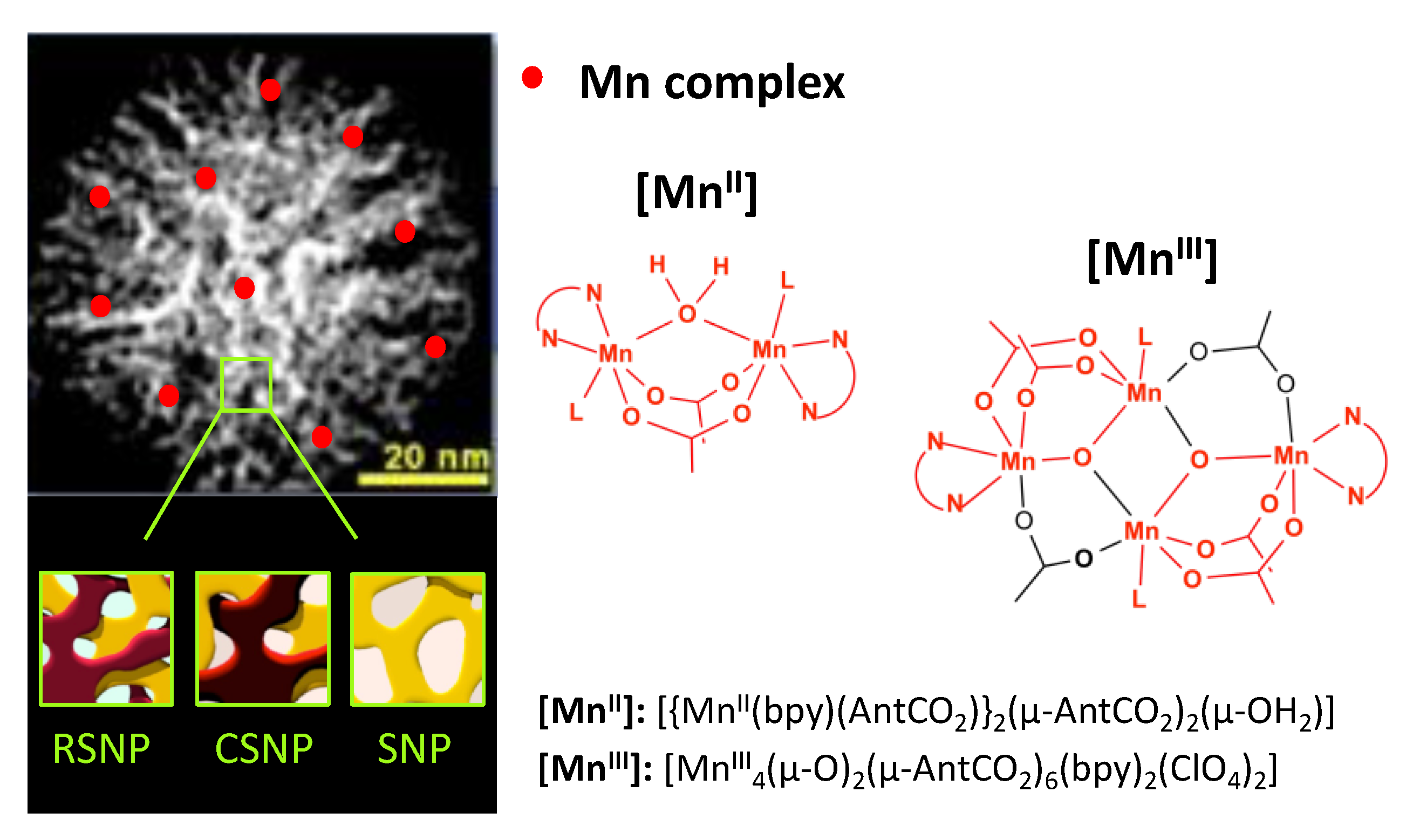 Nanomaterials 11 00774 sch001 Nanomaterials 11 00774 sch001