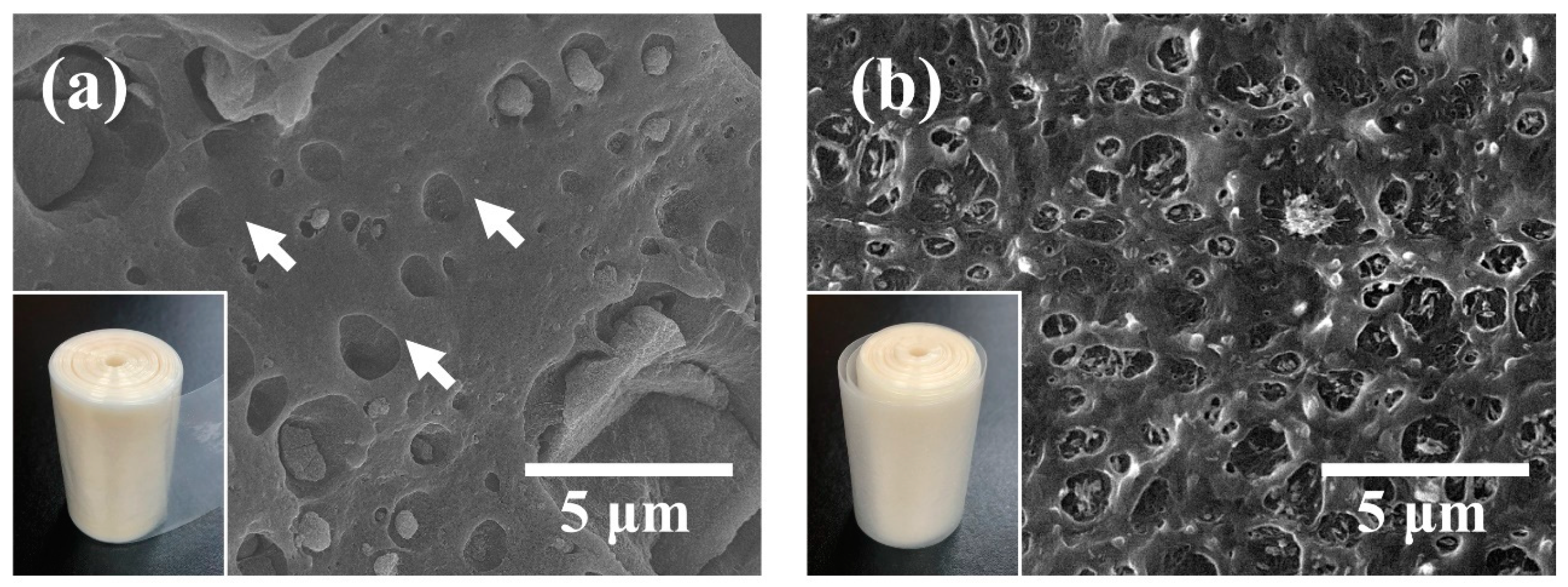 Nanomaterials 11 00777 g001 Nanomaterials 11 00777 g001