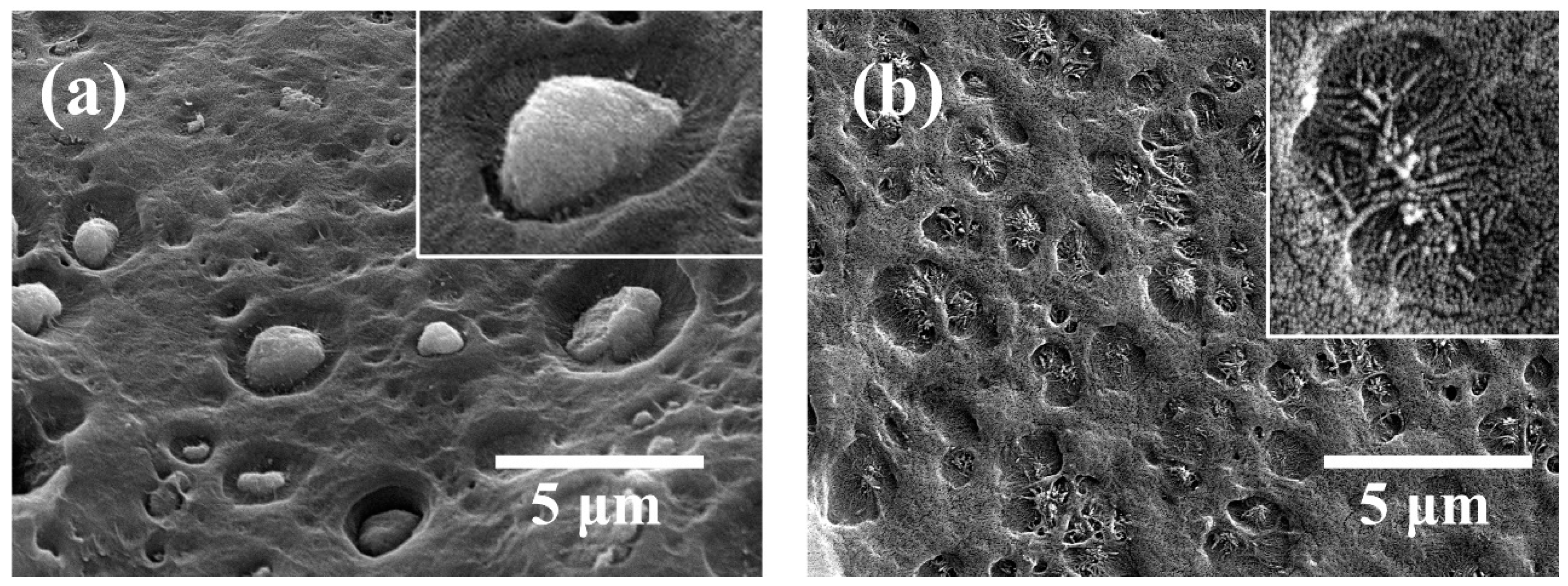 Nanomaterials 11 00777 g002 Nanomaterials 11 00777 g002