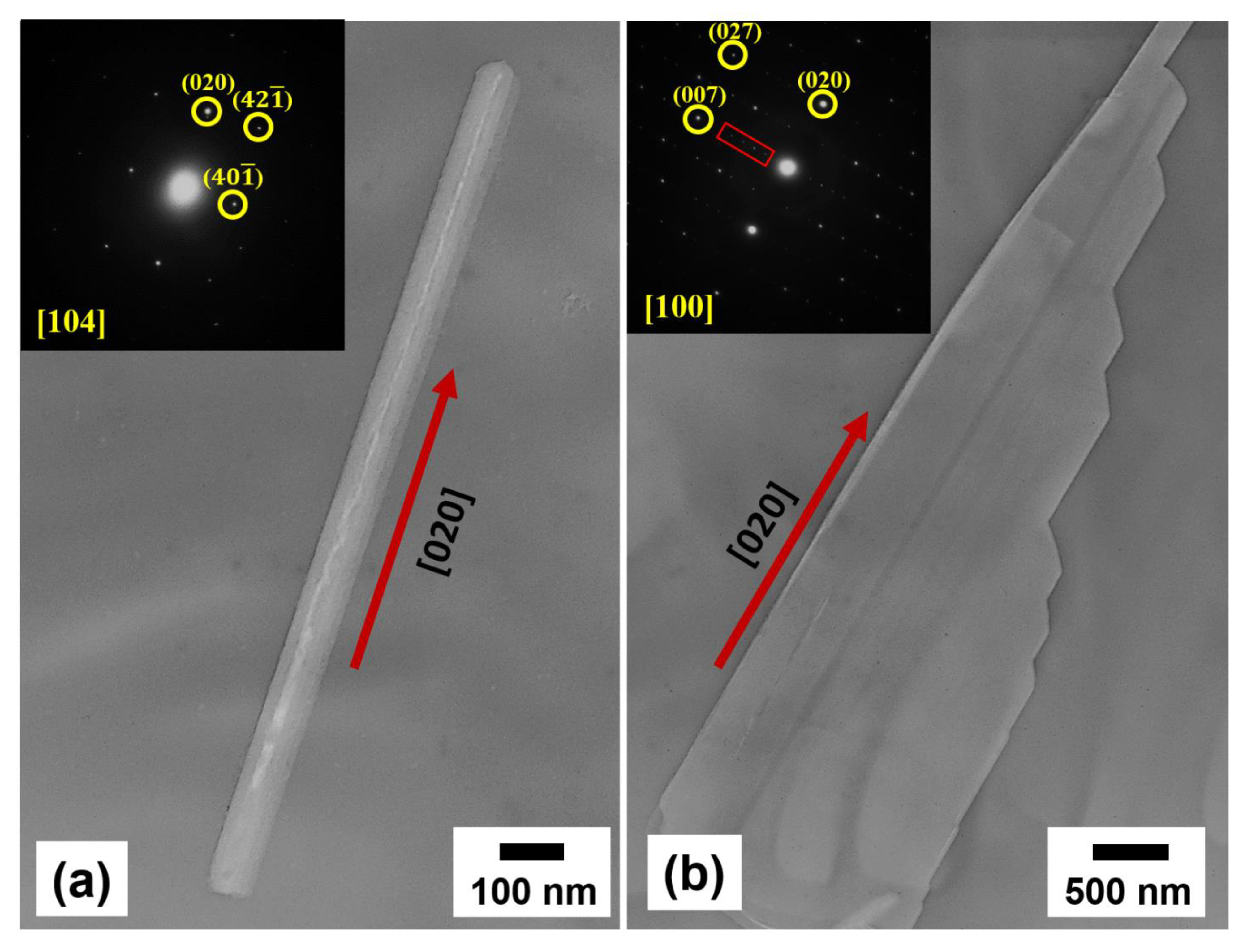 Nanomaterials 11 00778 g004a Nanomaterials 11 00778 g004a