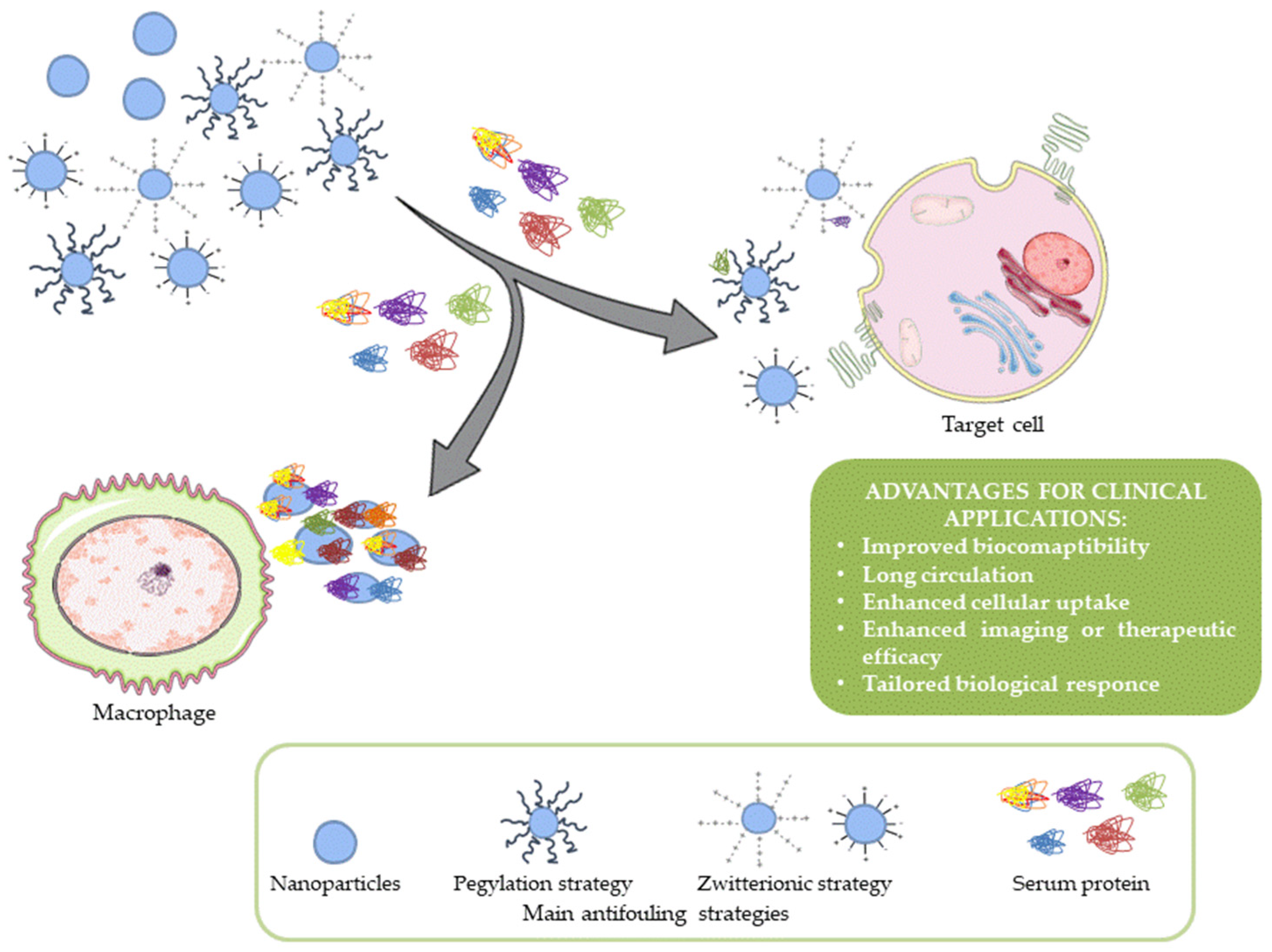 Nanomaterials 11 00780 g001 Nanomaterials 11 00780 g001