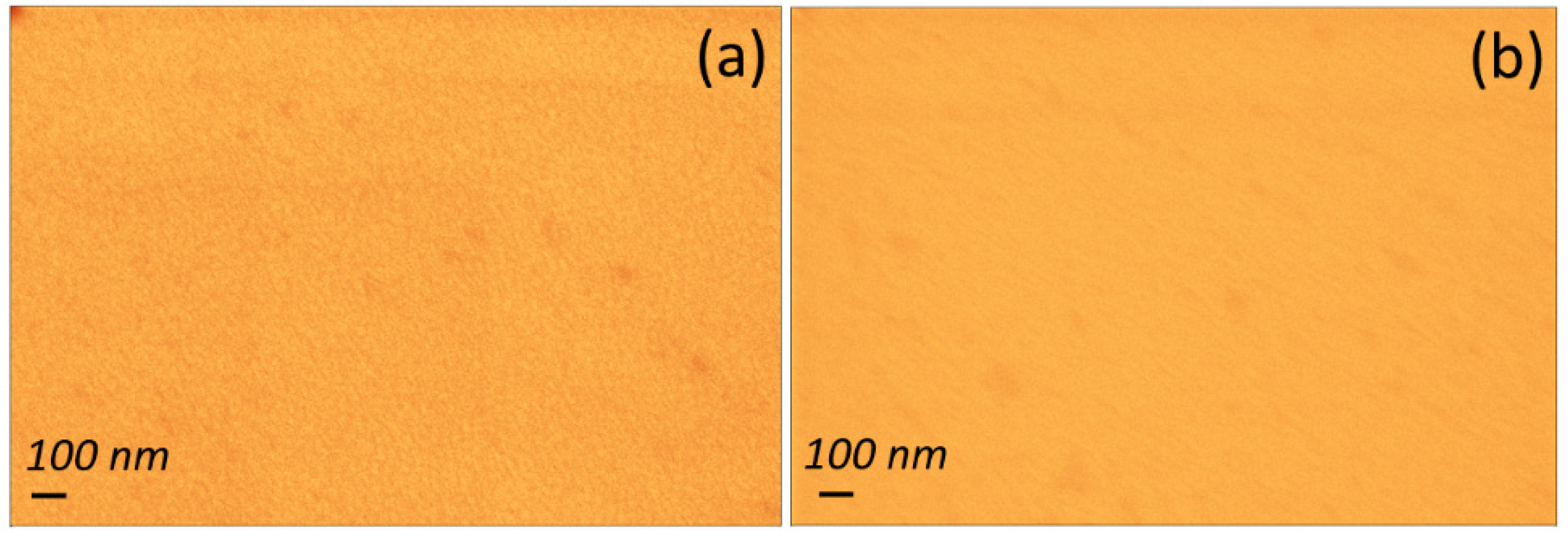 Nanomaterials 11 00781 g004 Nanomaterials 11 00781 g004