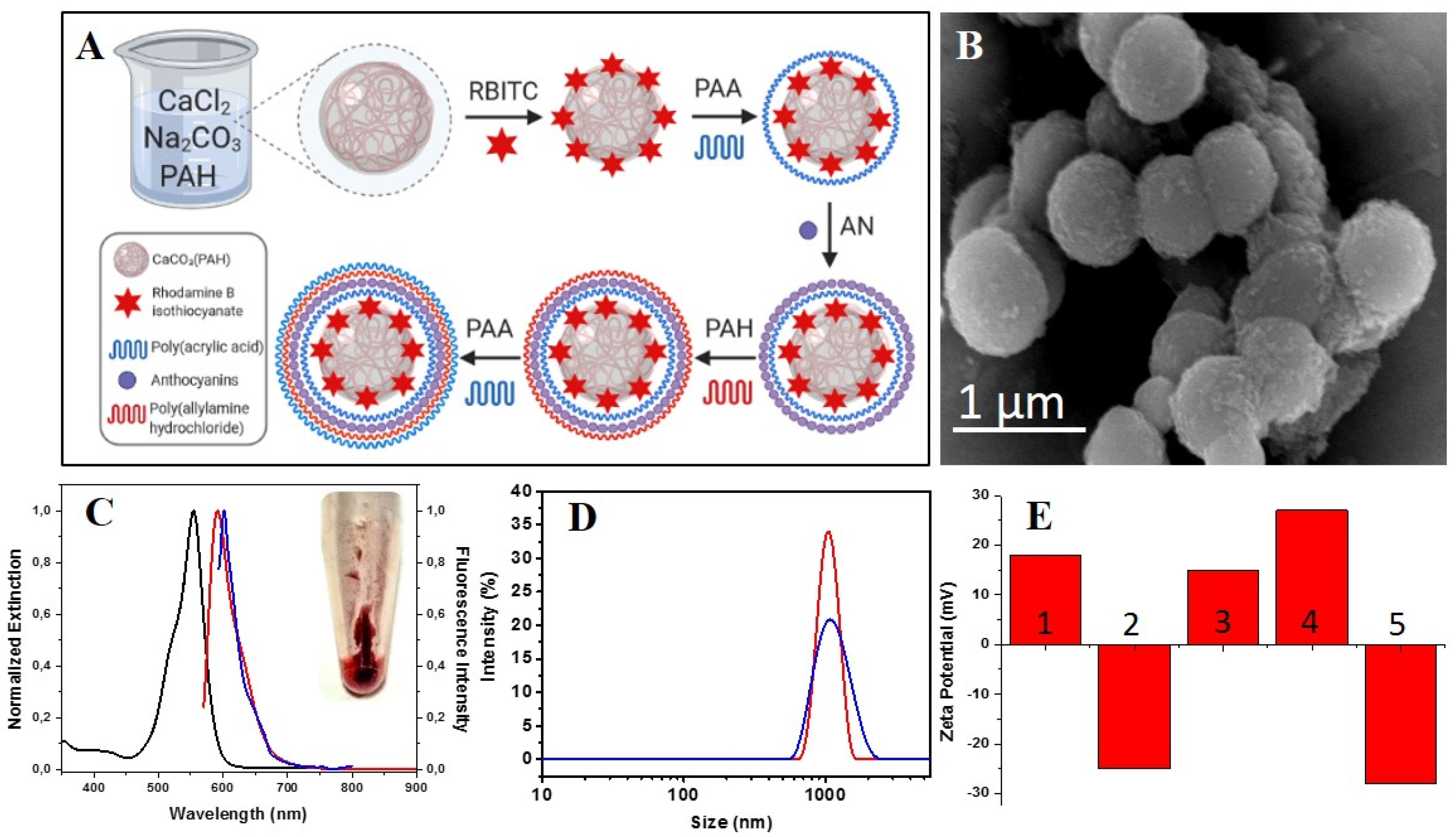 Nanomaterials 11 00782 g001 Nanomaterials 11 00782 g001