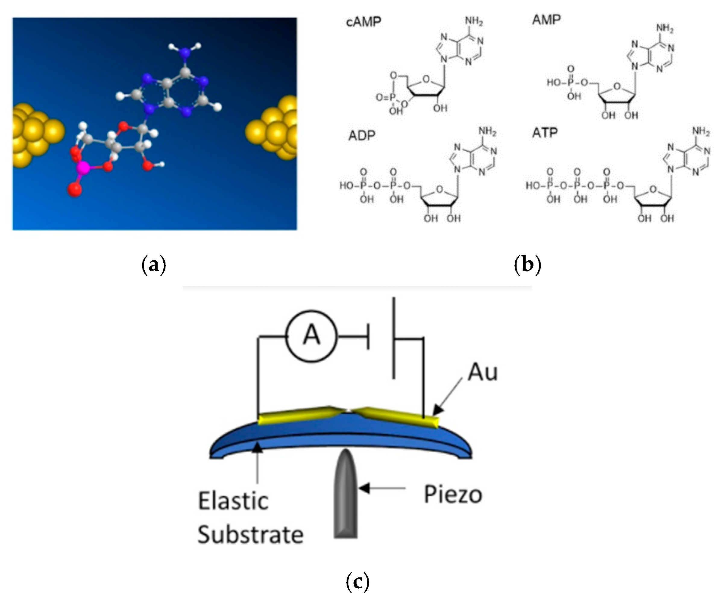 Nanomaterials 11 00784 g001 Nanomaterials 11 00784 g001