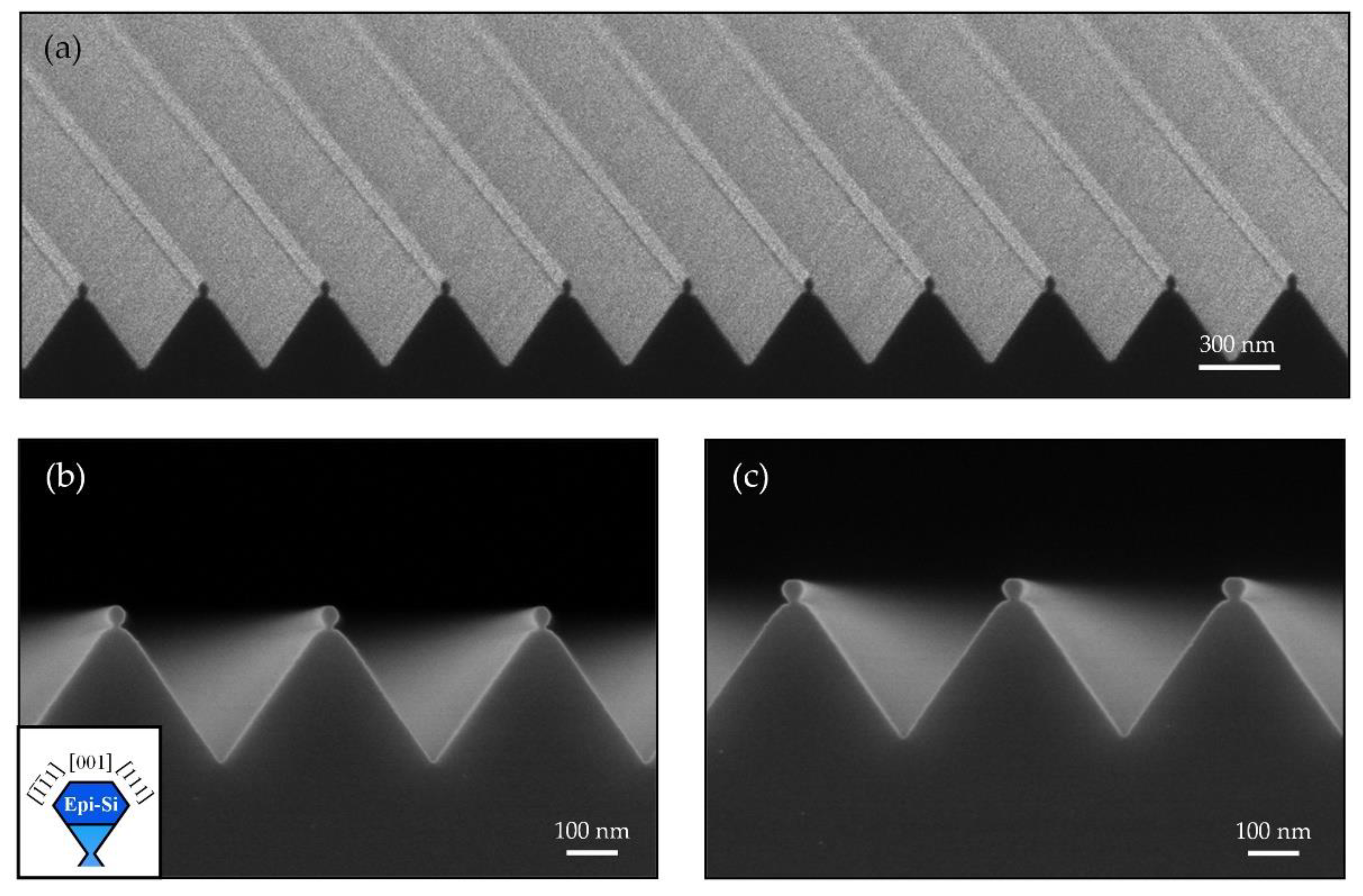 Nanomaterials 11 00788 g003
