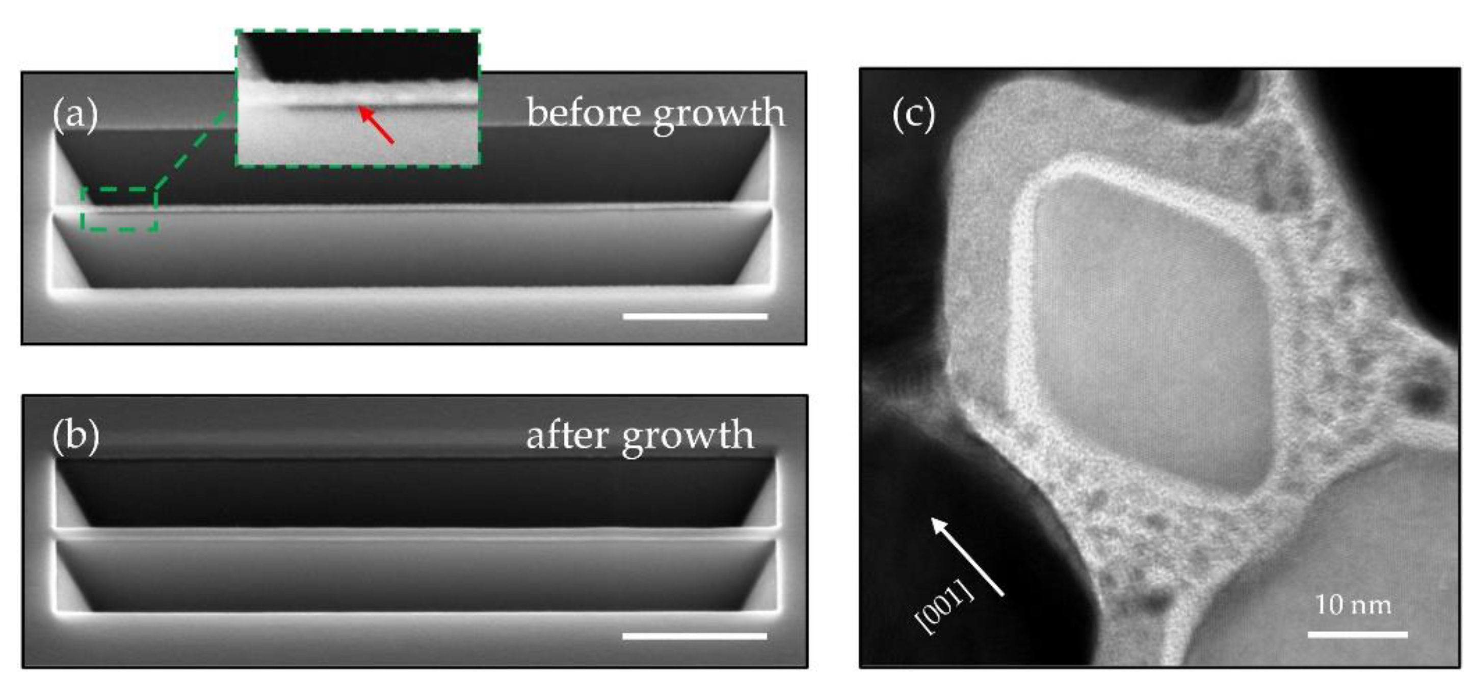 Nanomaterials 11 00788 g005