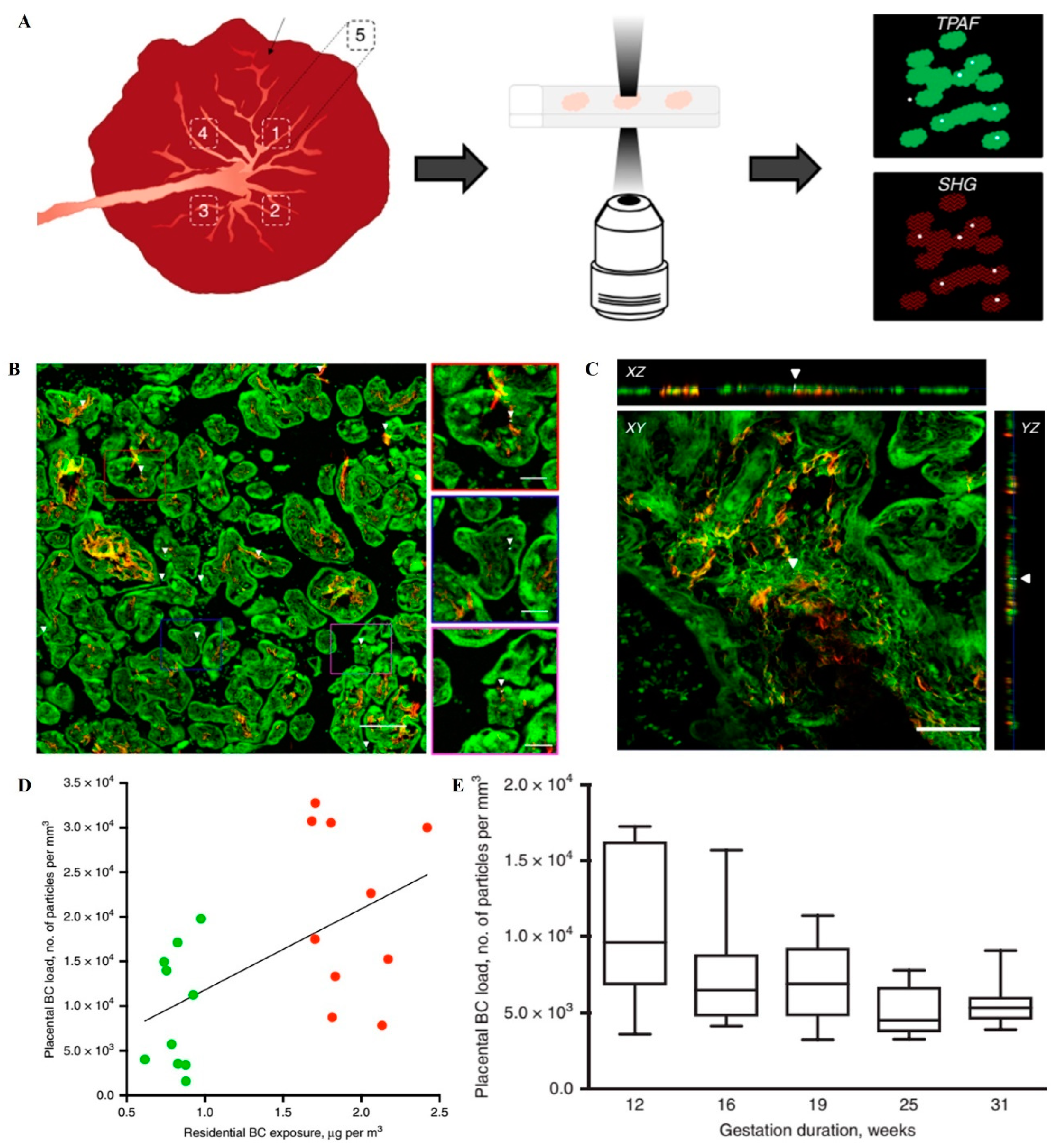 Nanomaterials 11 00791 g001
