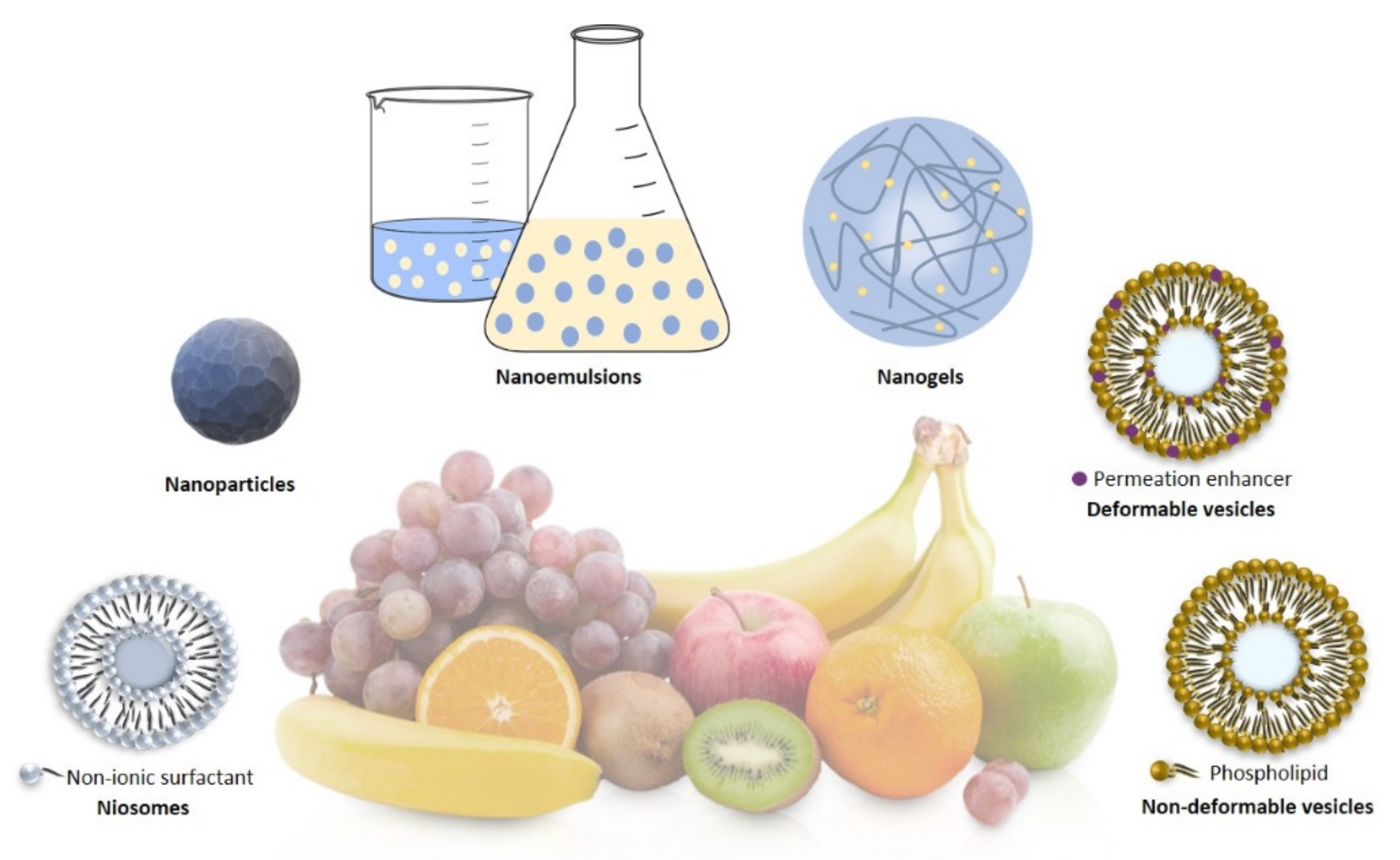 Nanomaterials 11 00792 g002 Nanomaterials 11 00792 g002