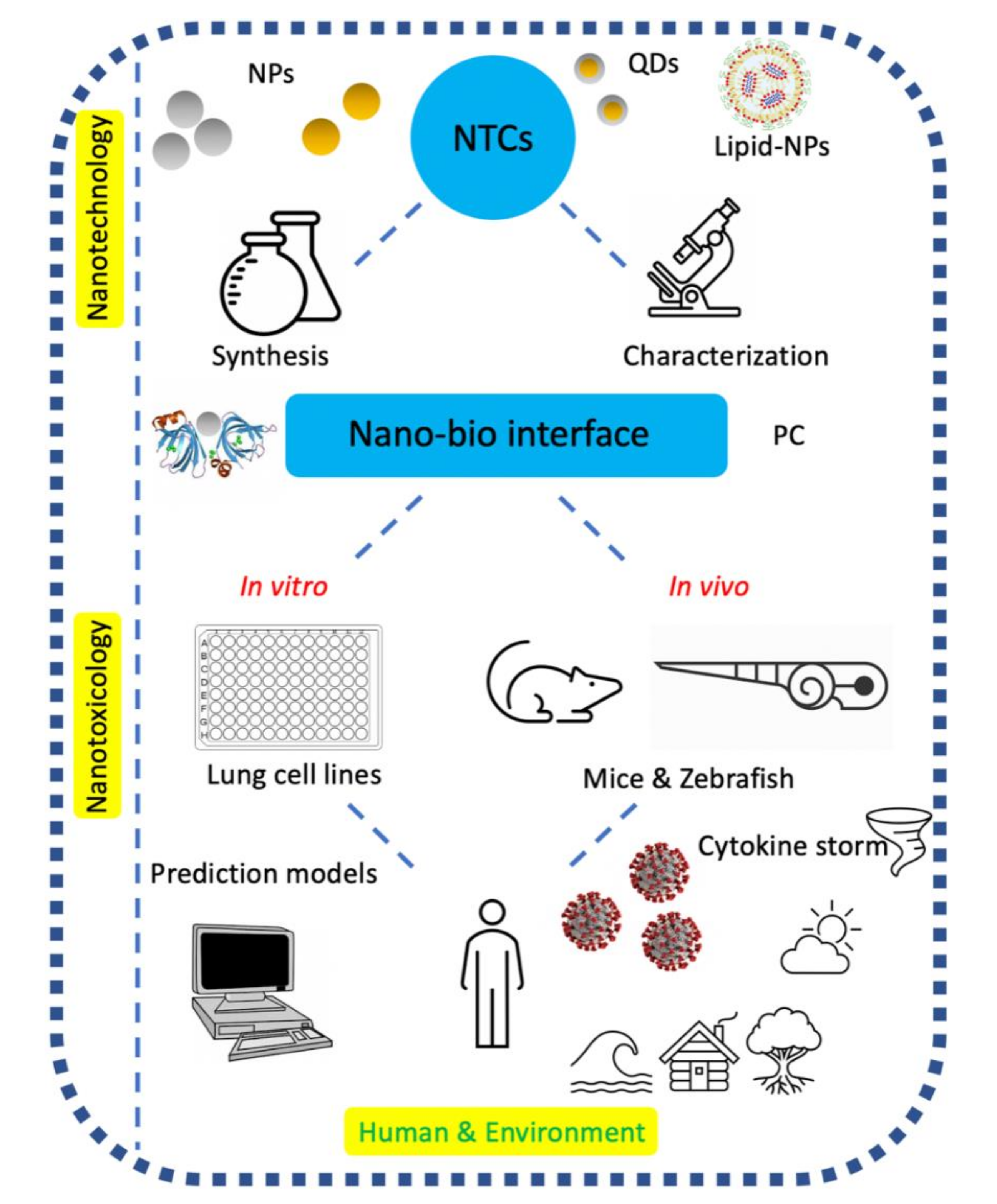 Nanomaterials 11 00796 g001