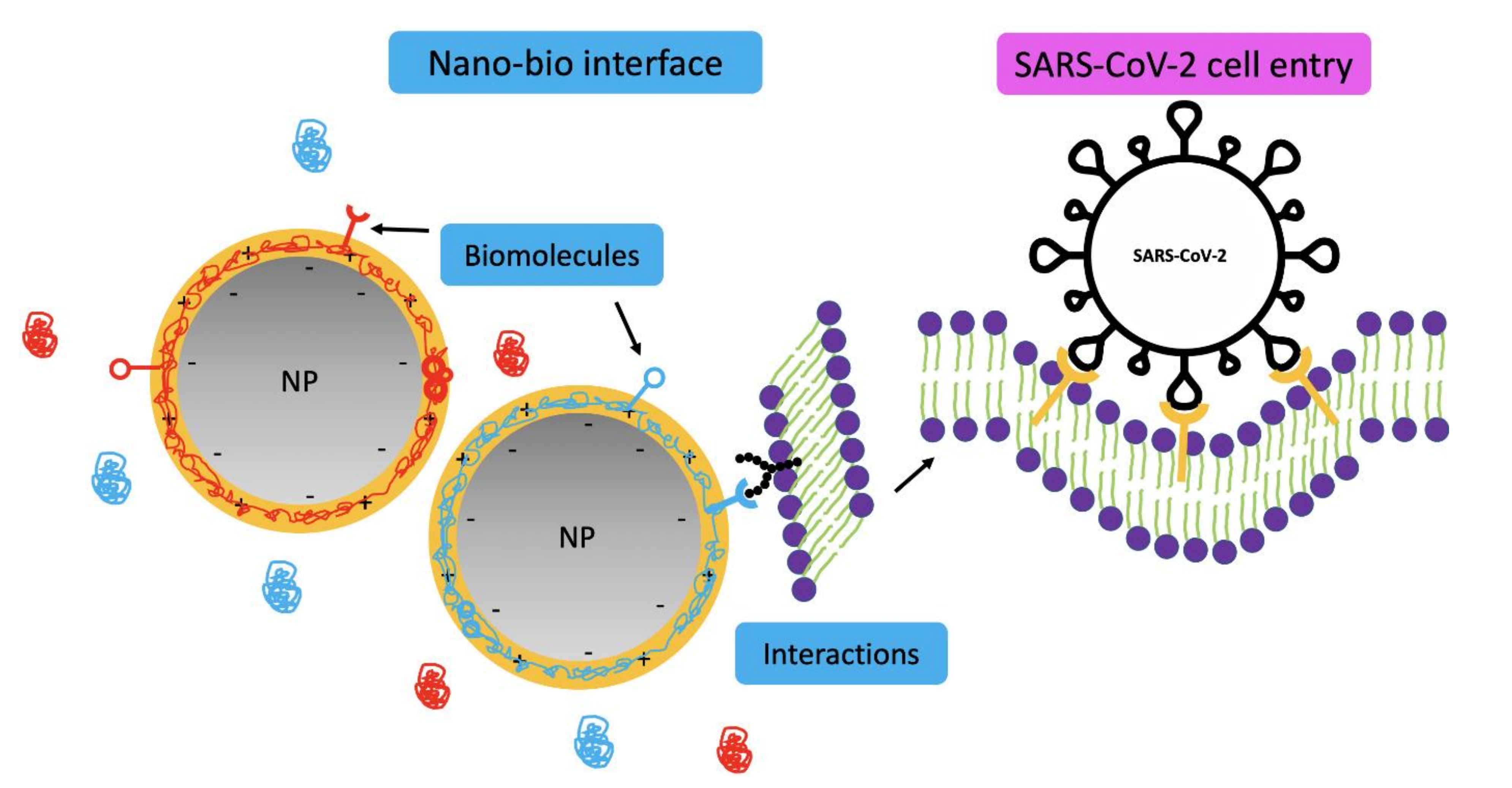 Nanomaterials 11 00796 g002