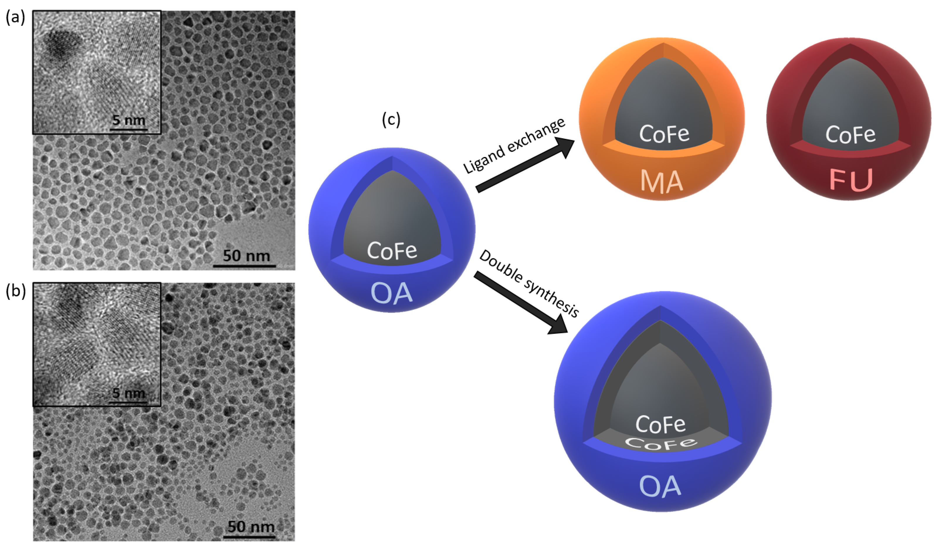 Nanomaterials 11 00797 g001 Nanomaterials 11 00797 g001