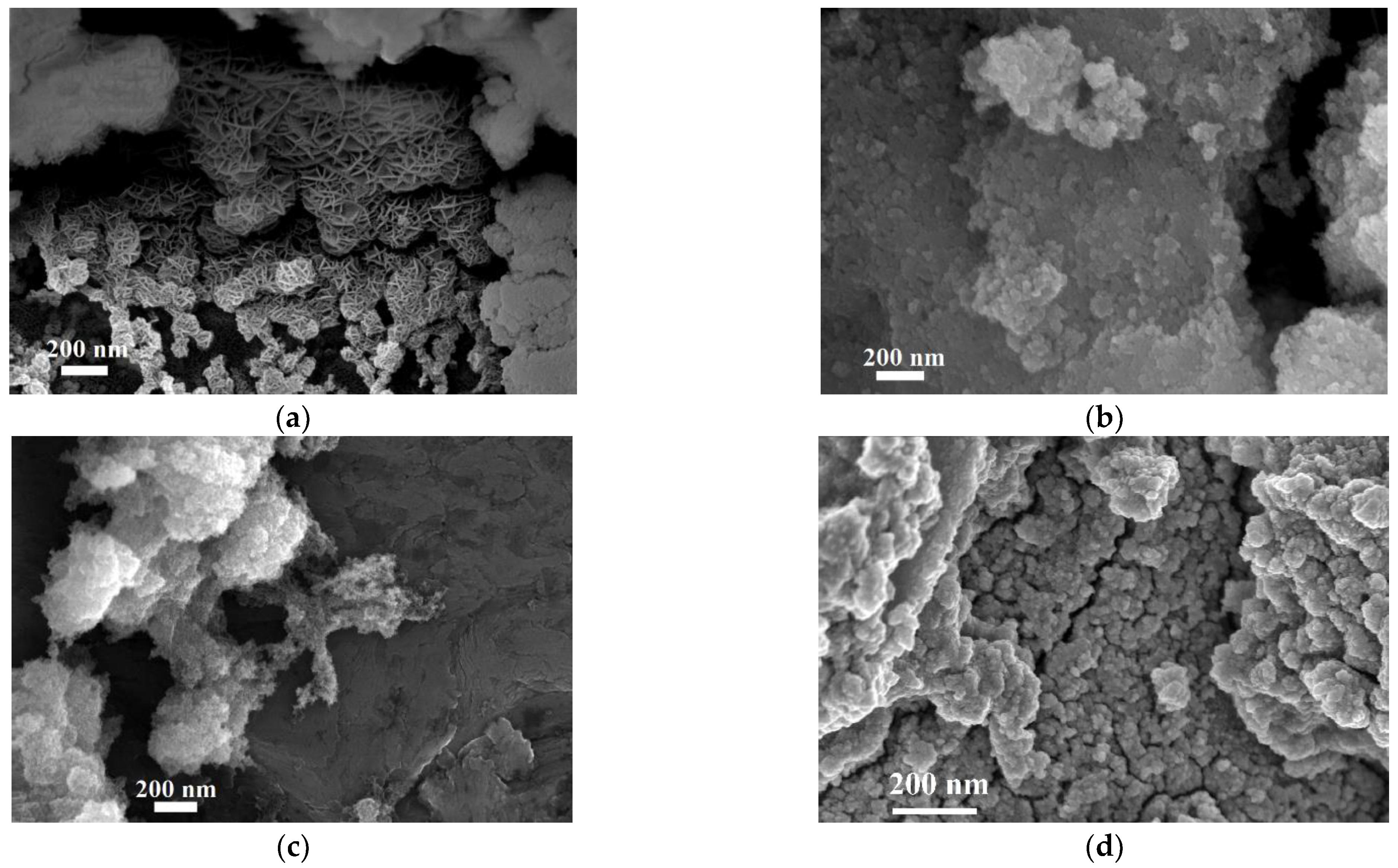 Nanomaterials 11 00798 g005 Nanomaterials 11 00798 g005