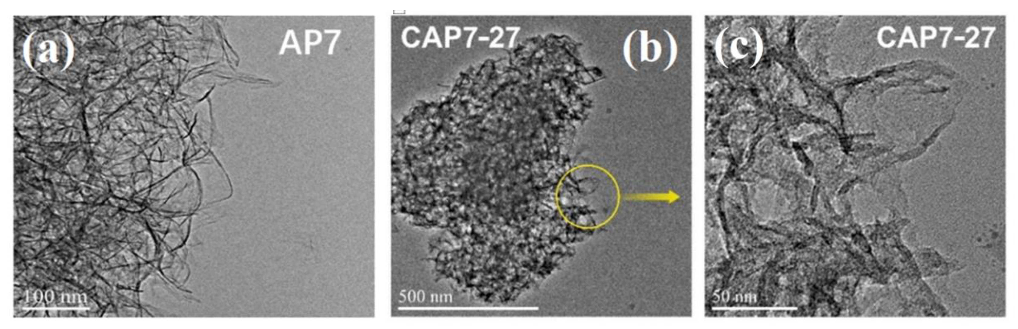 Nanomaterials 11 00799 g004 Nanomaterials 11 00799 g004
