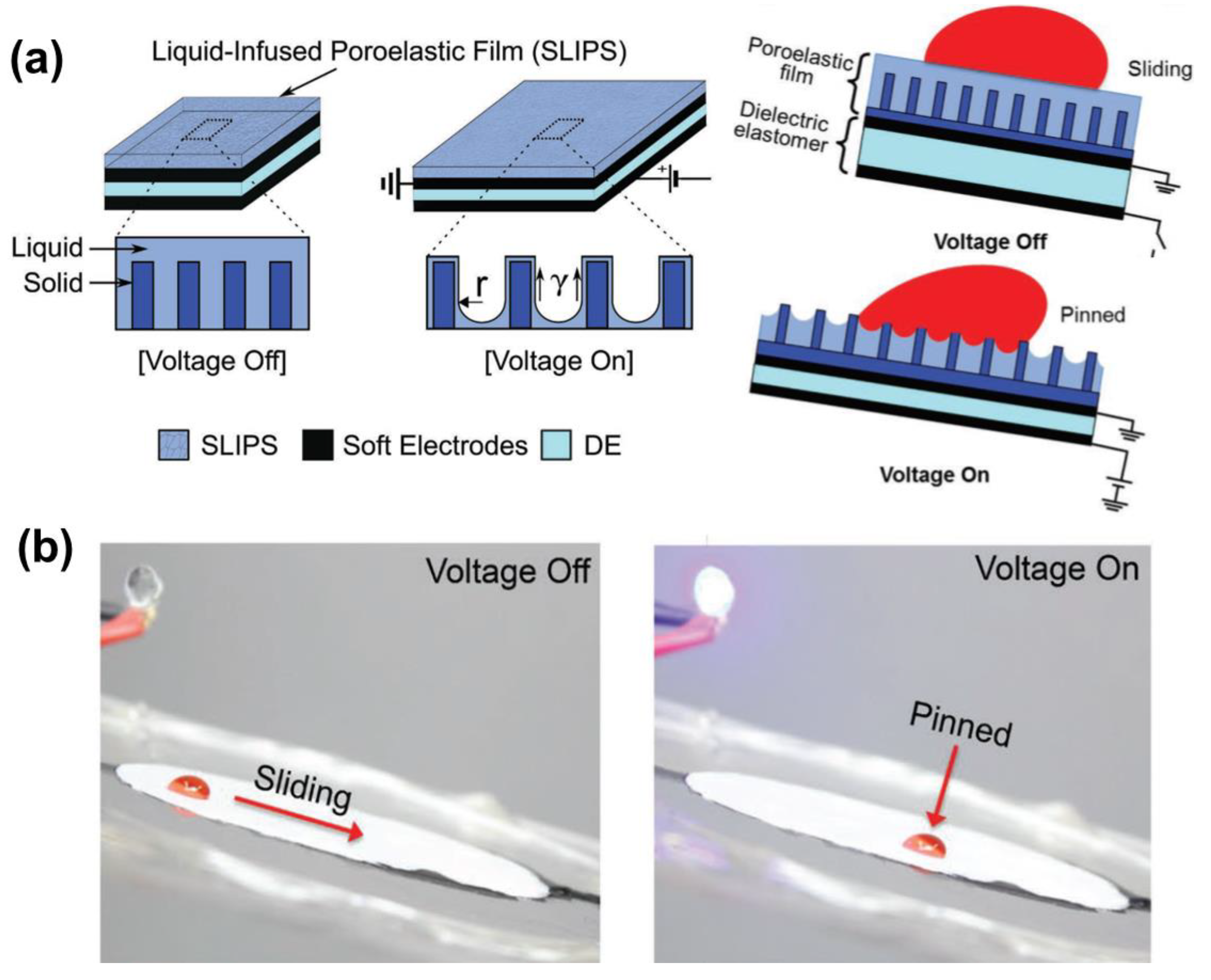 Nanomaterials 11 00801 g008 Nanomaterials 11 00801 g008