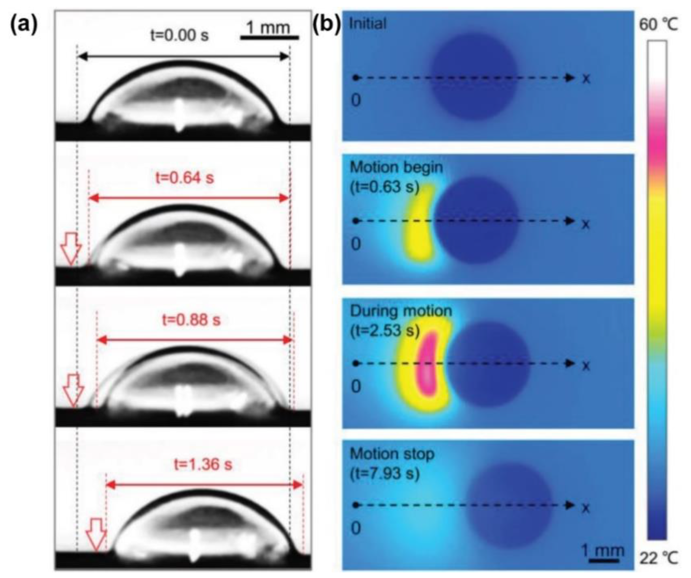 Nanomaterials 11 00801 g010 Nanomaterials 11 00801 g010