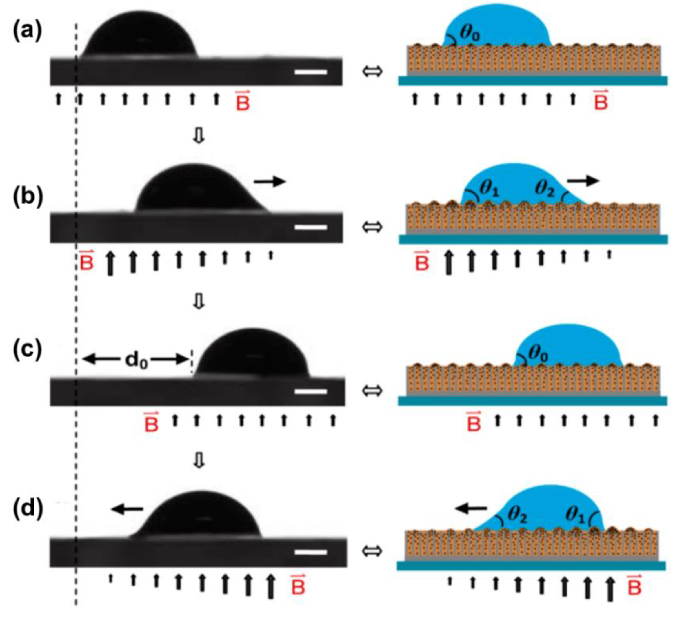 Nanomaterials 11 00801 g014 Nanomaterials 11 00801 g014