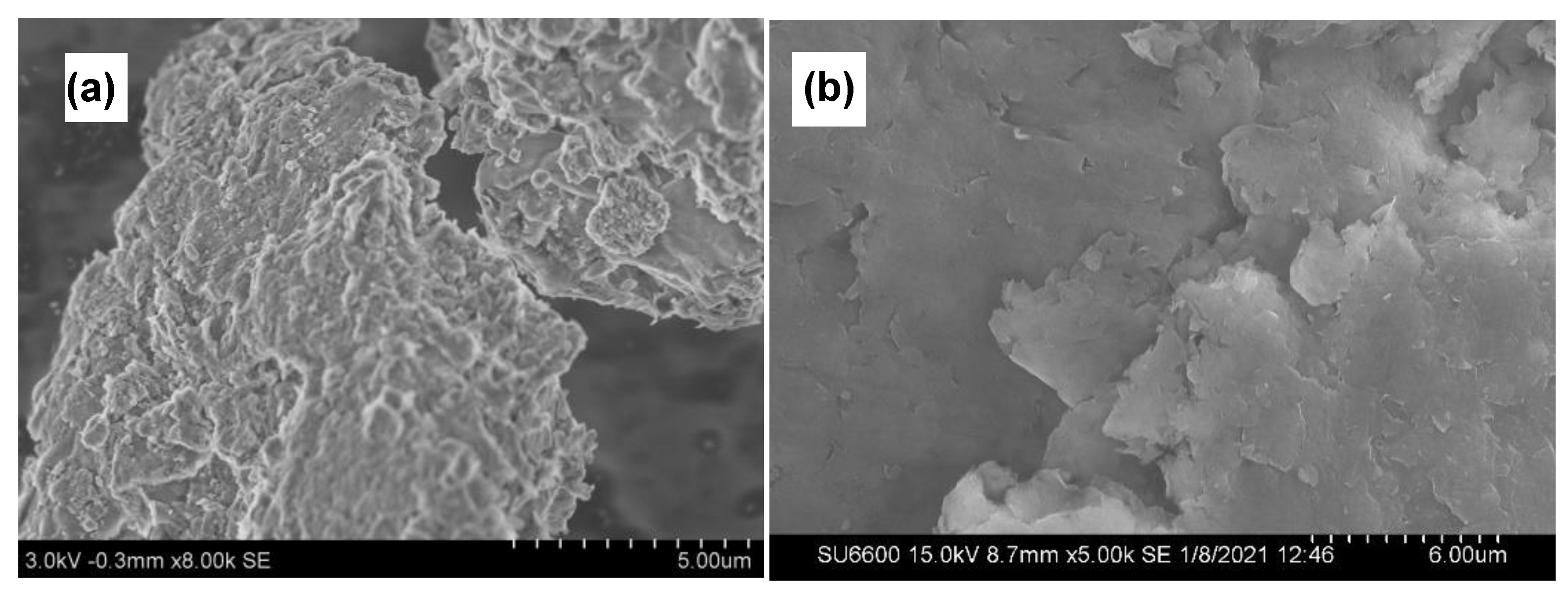 Nanomaterials 11 00802 g005 Nanomaterials 11 00802 g005