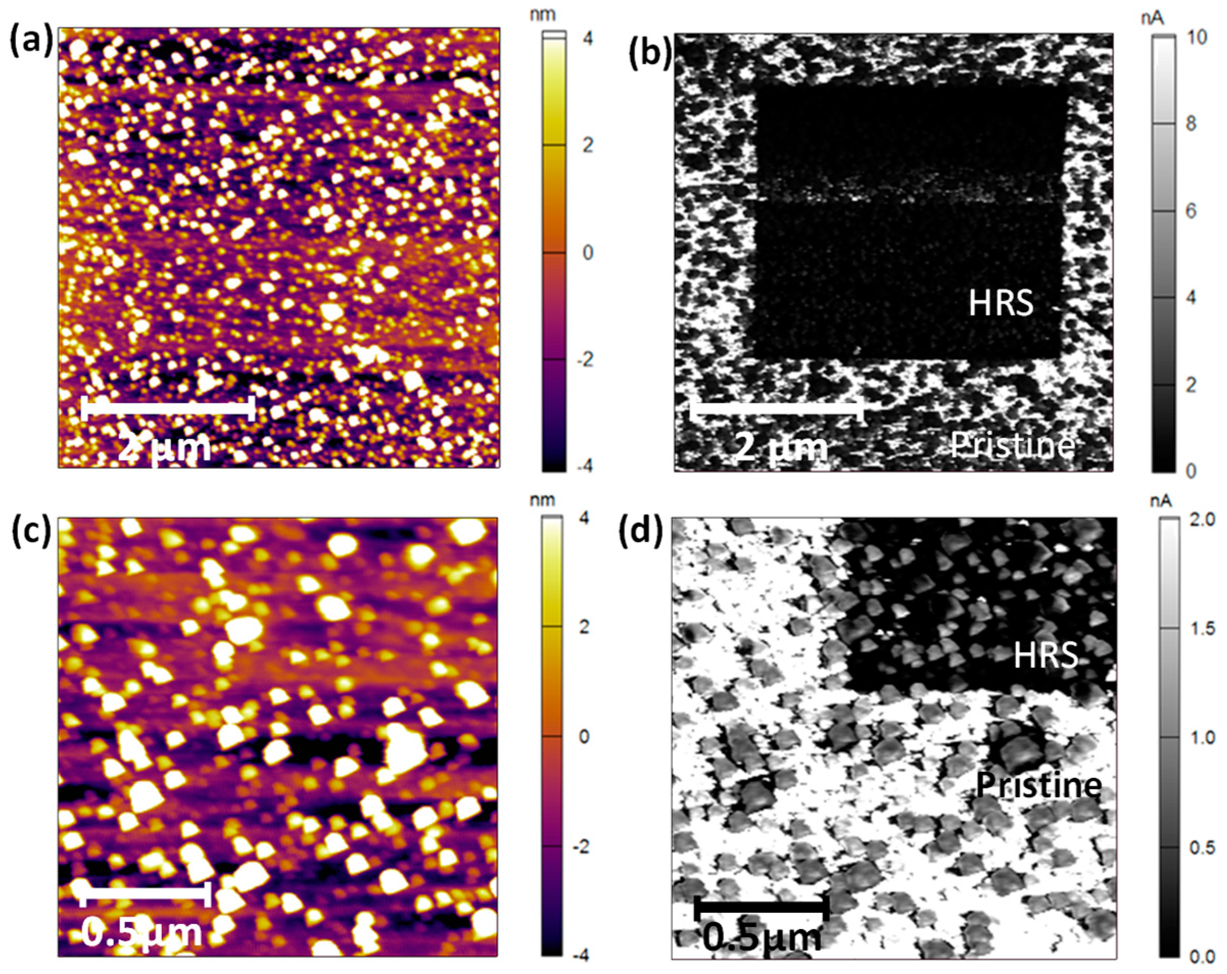 Nanomaterials 11 00804 g0a3