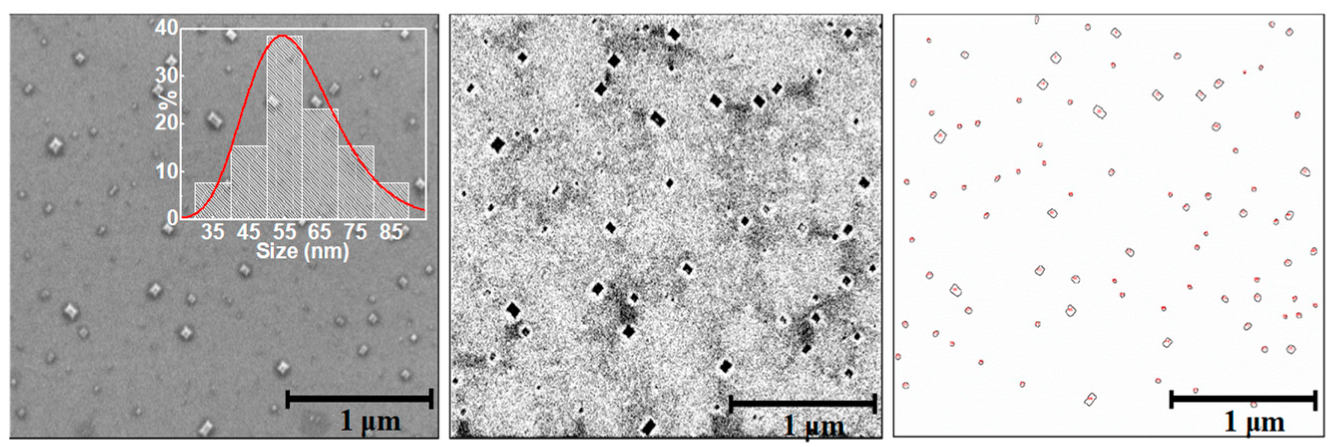 Nanomaterials 11 00804 g0a4