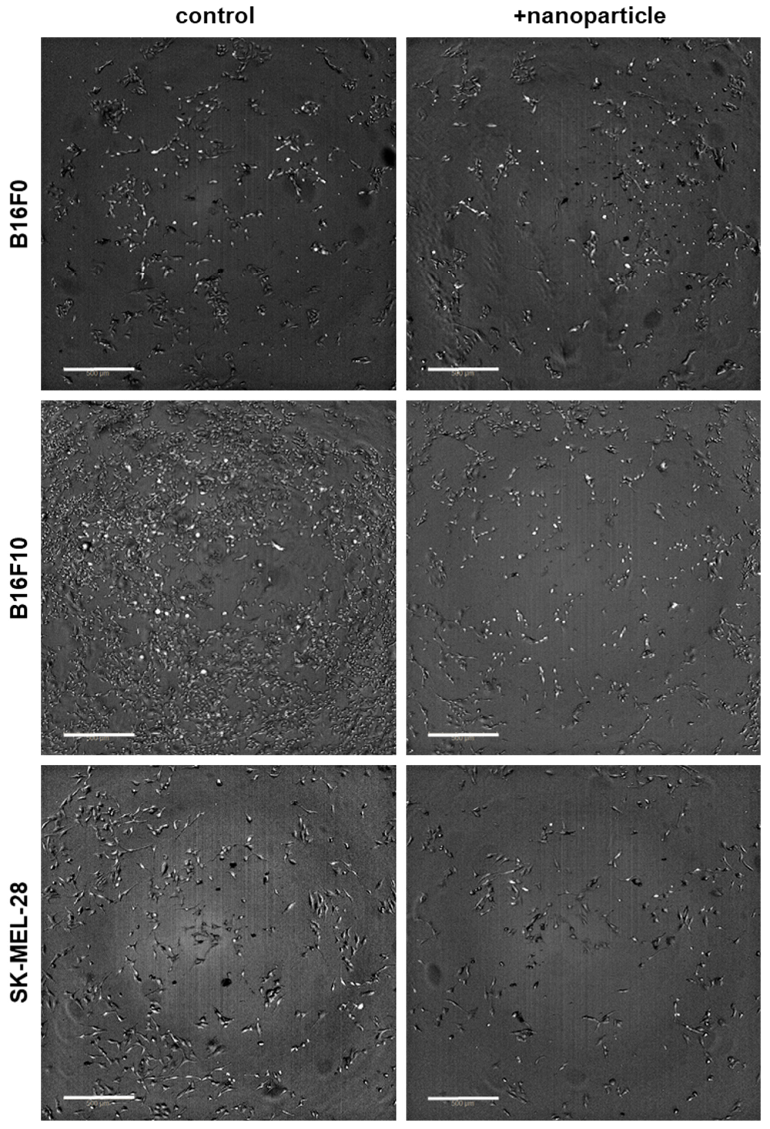 Nanomaterials 11 00806 g001 Nanomaterials 11 00806 g001