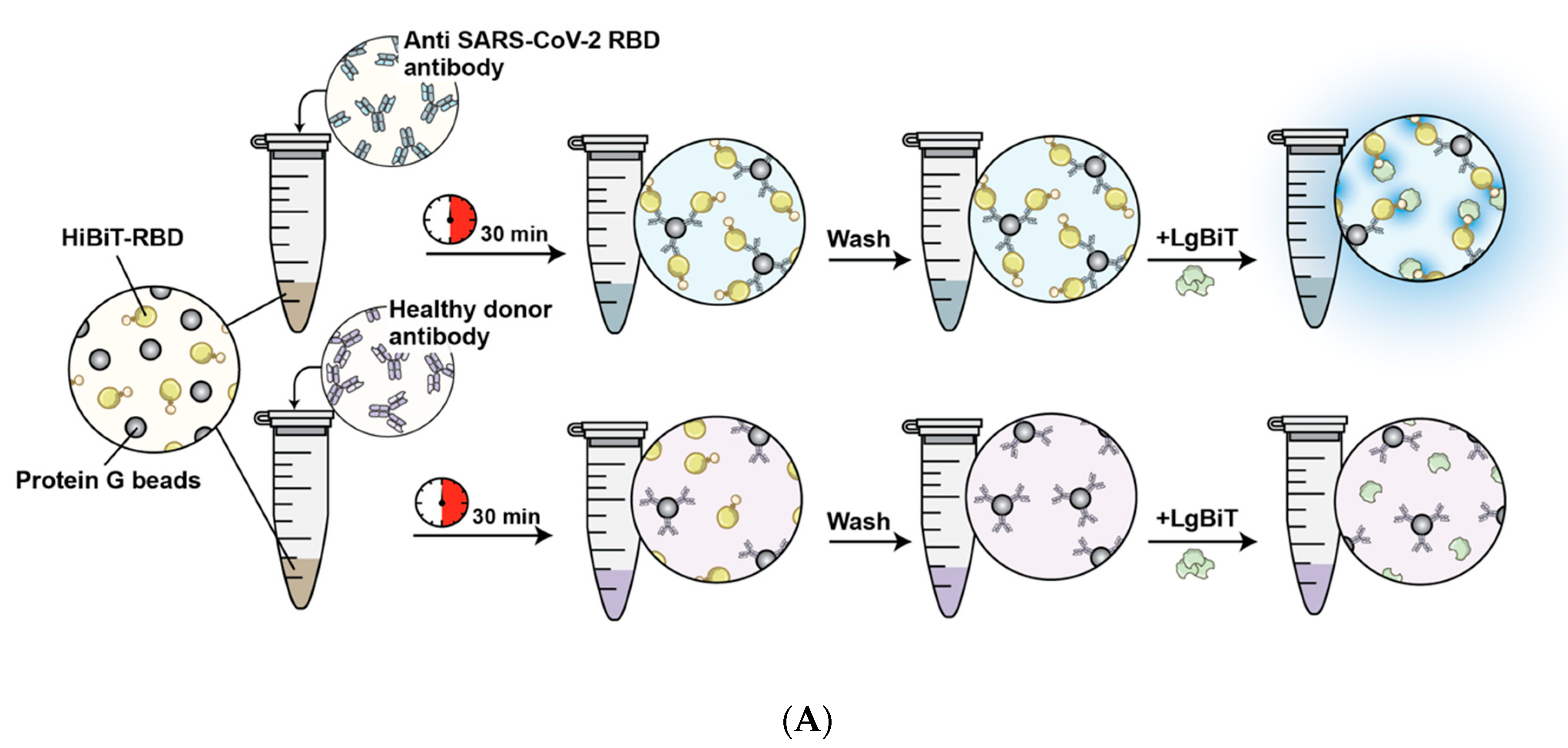 Nanomaterials 11 00807 g005a Nanomaterials 11 00807 g005a