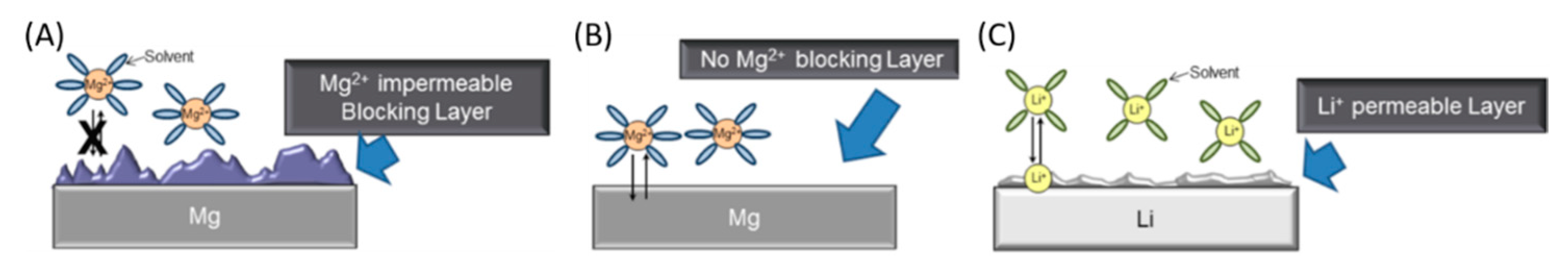 Nanomaterials 11 00810 g005 Nanomaterials 11 00810 g005