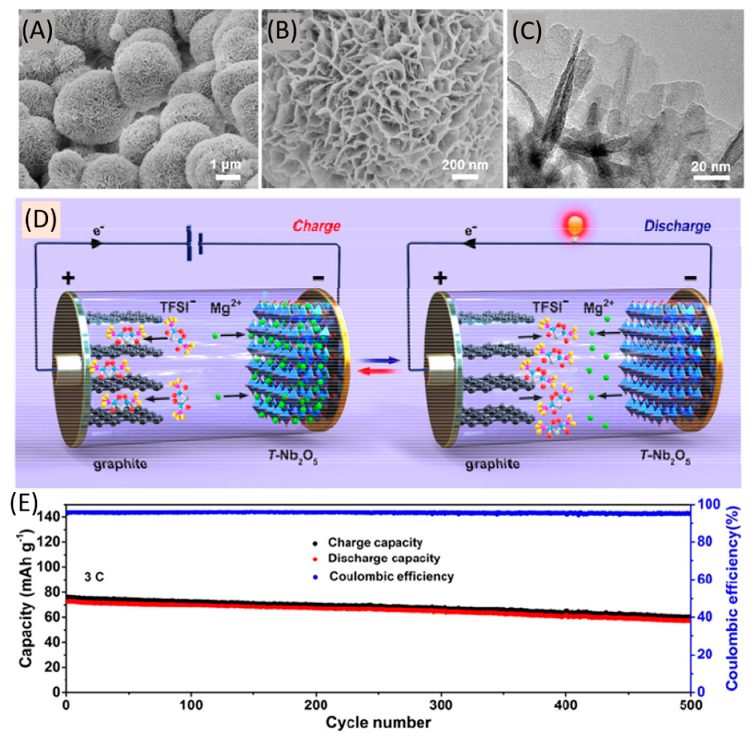 Nanomaterials 11 00810 g013 Nanomaterials 11 00810 g013